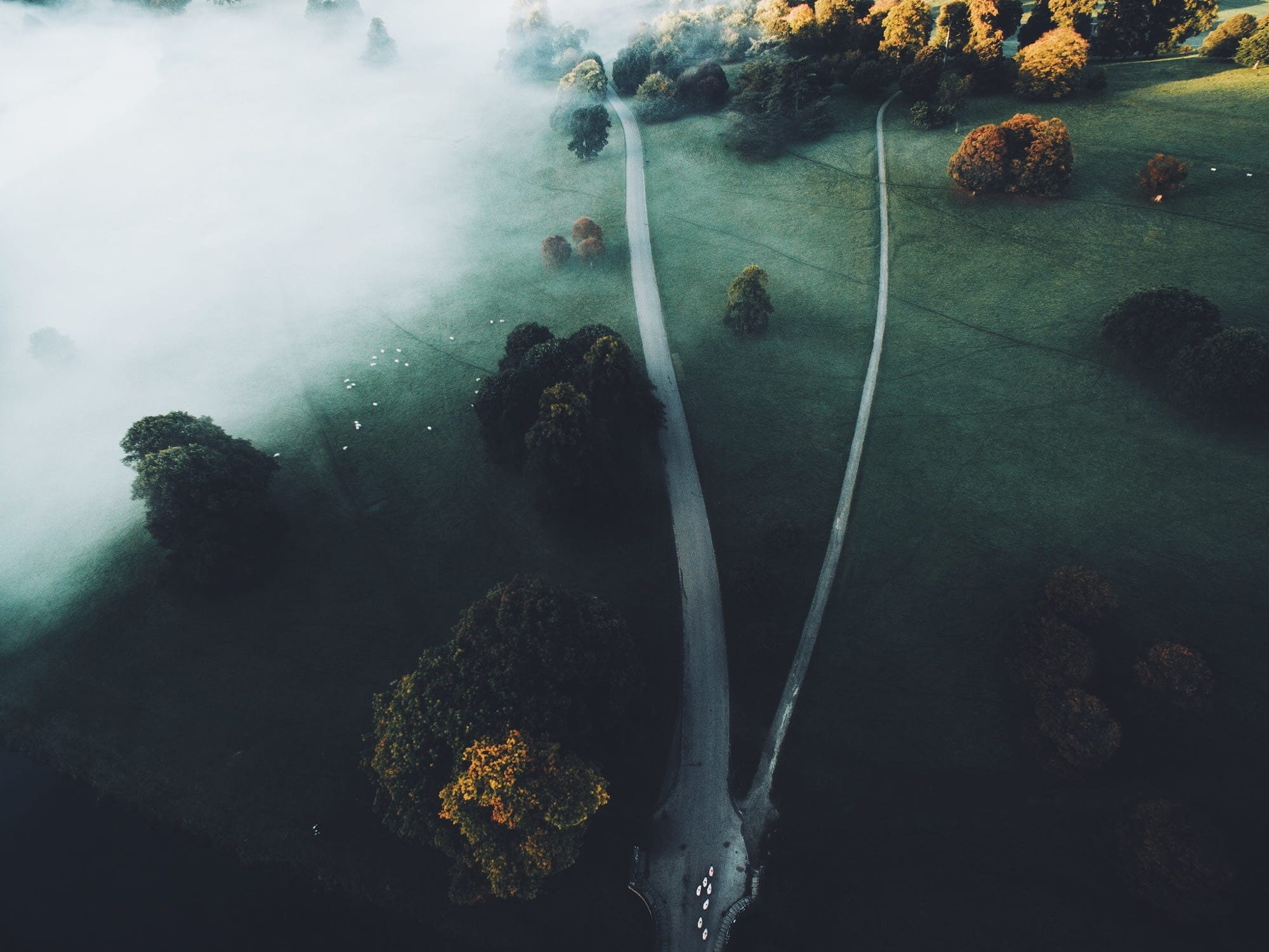 mist, freshness, 1080P, green color, underwater, road, growth, day, plant, water, rock - object, drone, landscape, undersea, no people, outdoors, close-up, HD Wallpaper