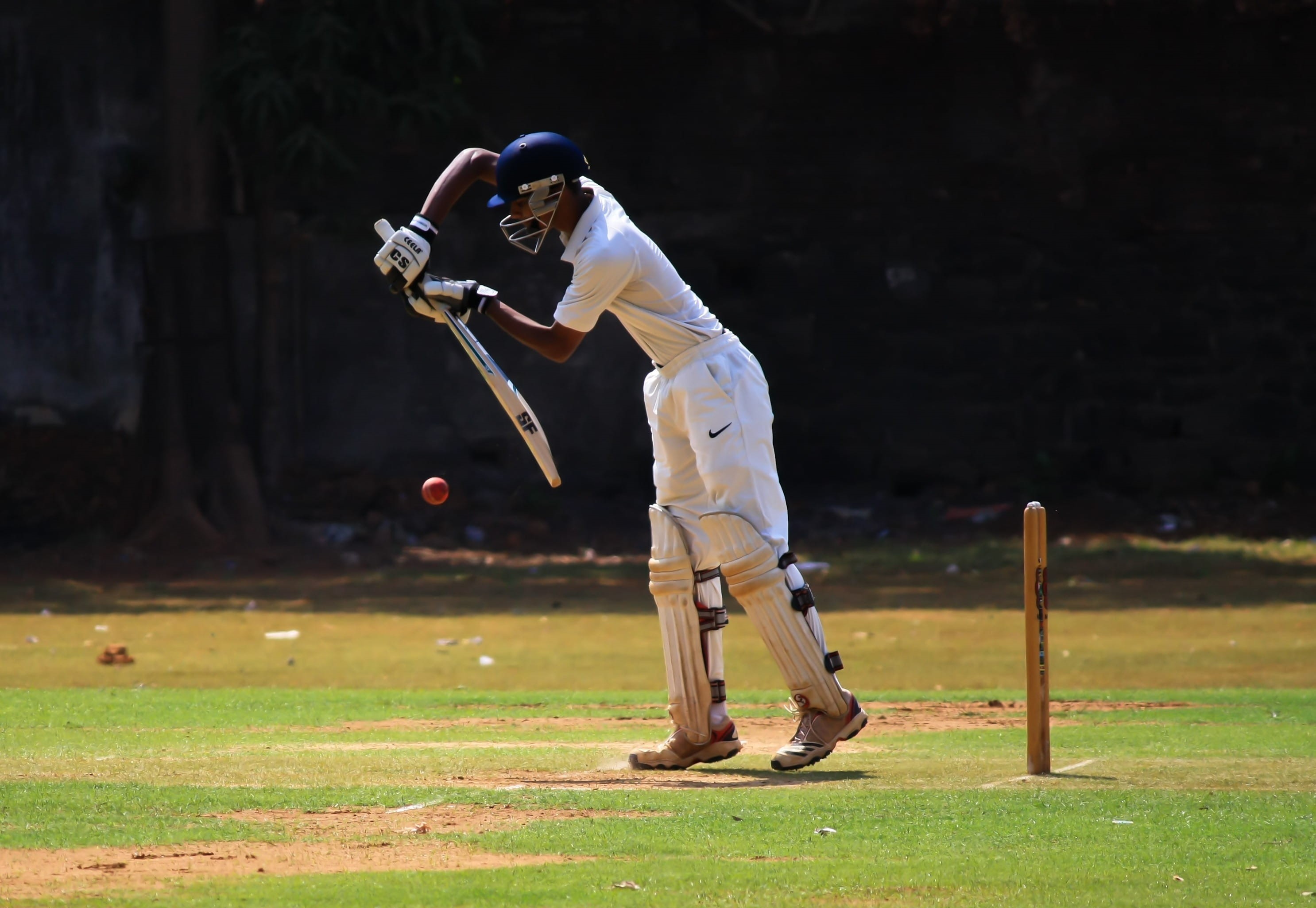 daytime, defensive, gear, activity, adult, baseball Player, grass, batsman, green field, nature, equipment, green, cricket, standing, game, 2K, people, HD Wallpaper