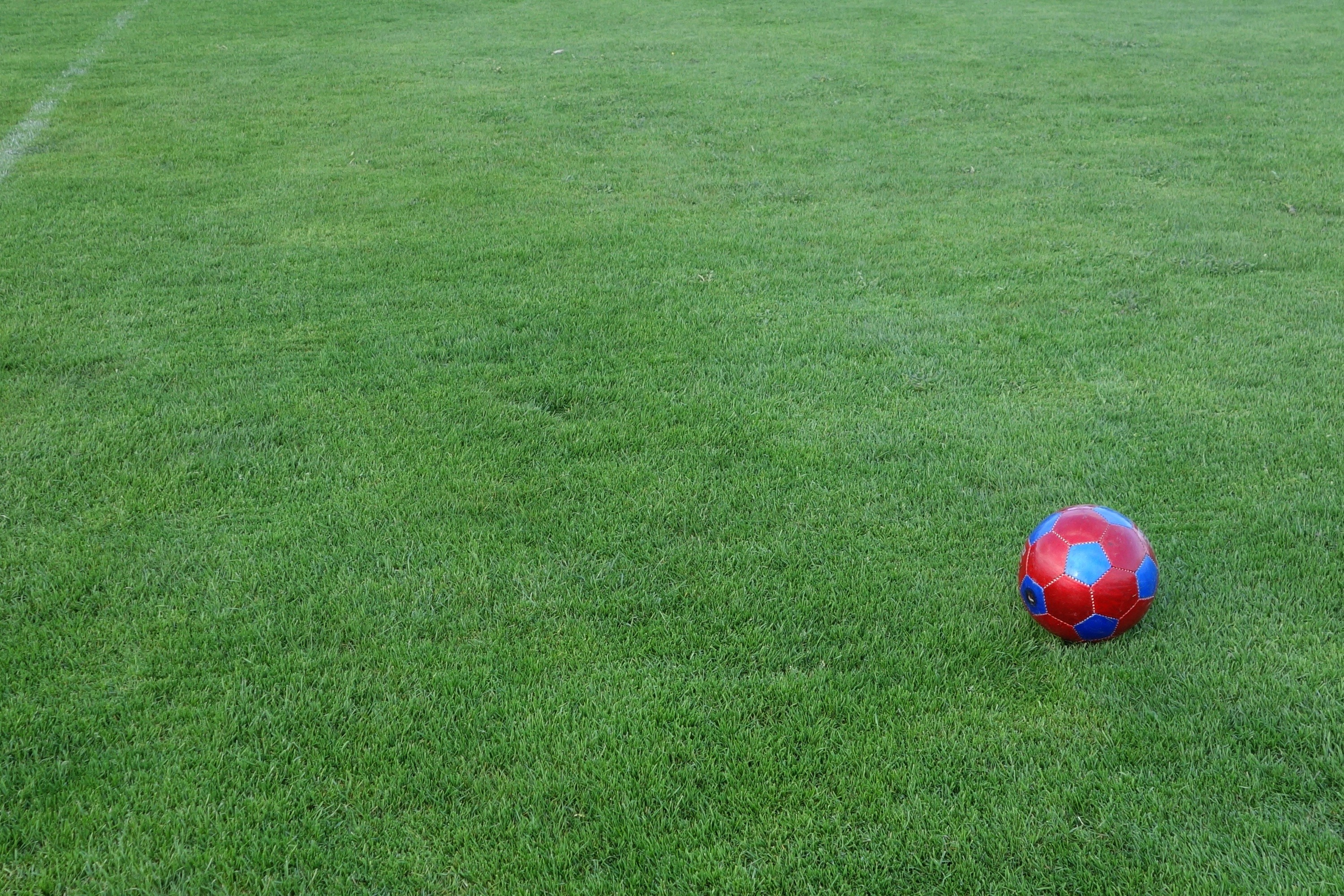 plant, lawn, day, football field, playing field, ball sports, single object, land, sport, 2K, growth, soccer, grass area, world championship, rush, green, HD Wallpaper