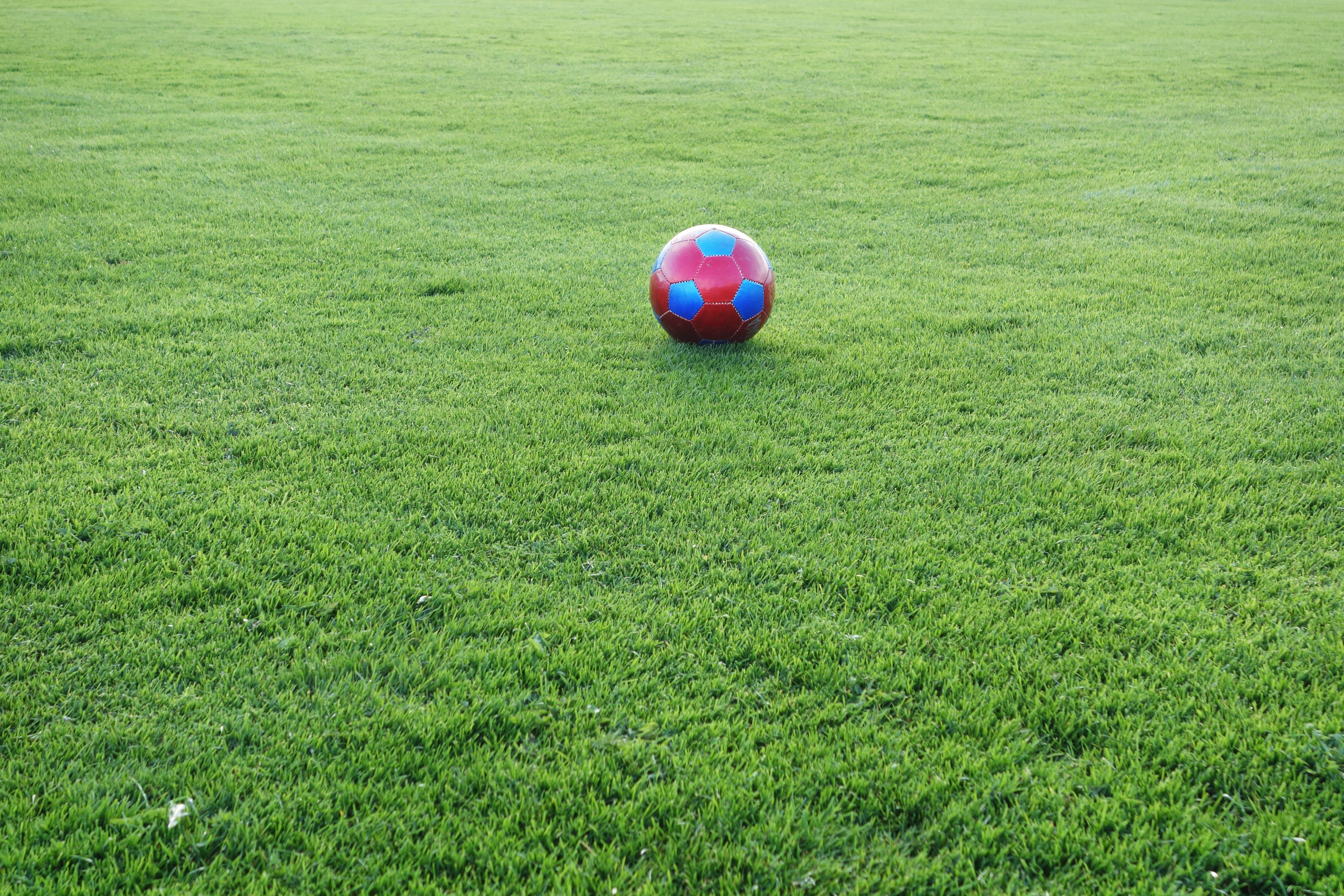 red, grass, growth, football match, nature, world championship, no people, soccer, blue, 5K, land, football, ball, sport, leisure activity, high angle view, HD Wallpaper