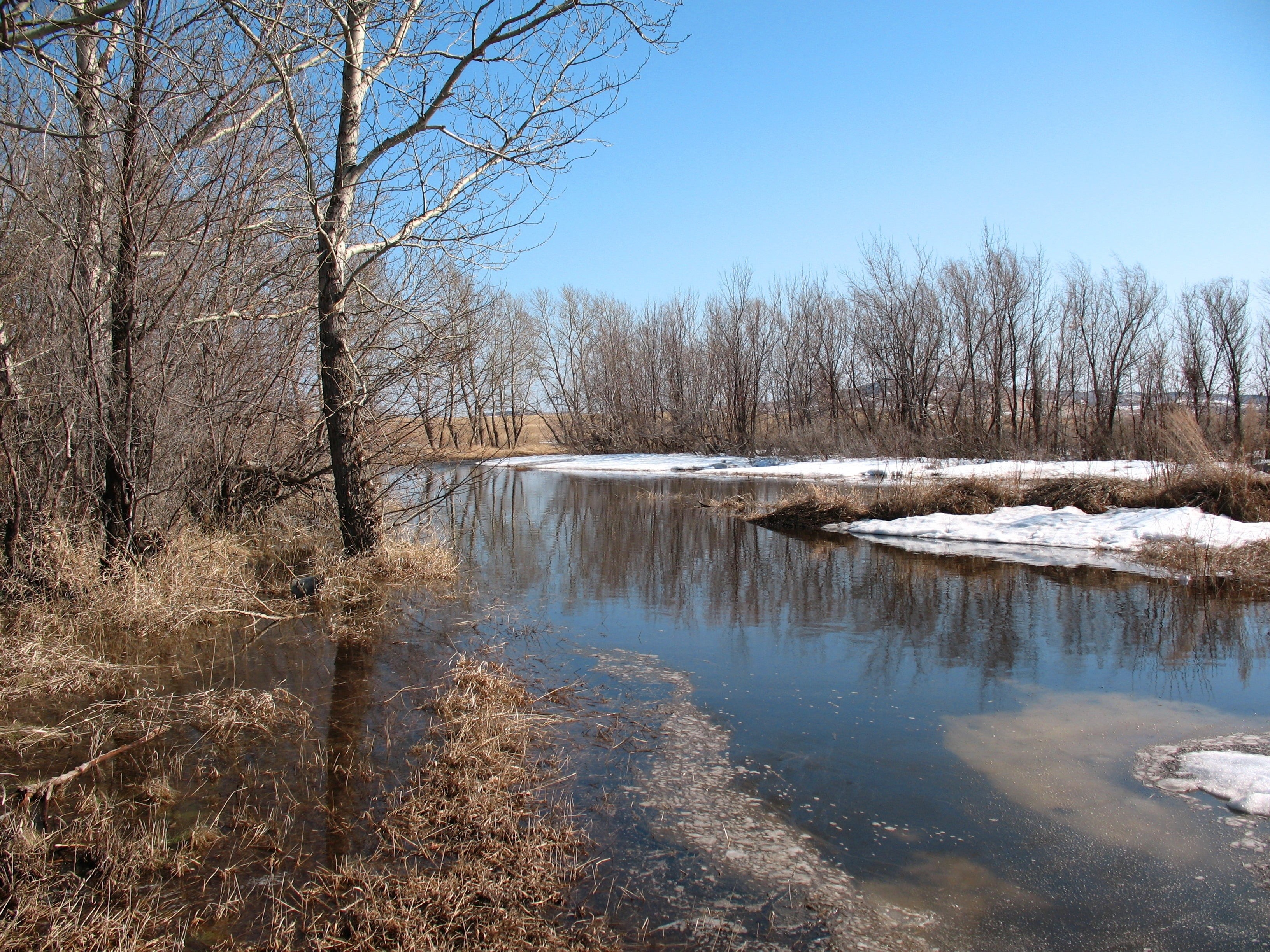 rural Scene, non-Urban Scene, lot, forest, beauty In Nature, no people, melting snow, frozen, dirt, river, frost, cold temperature, water, tree, tranquil Scene, HD Wallpaper