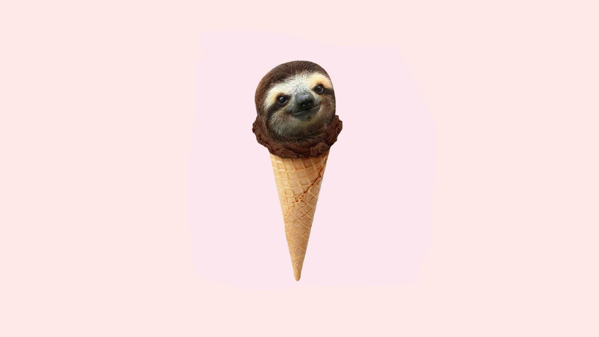 ice, ice cream, frozen food, simple background, humor, white background, minimalism, food, pink color, single object, freshness, chocolate, cut out, one animal, HD Wallpaper