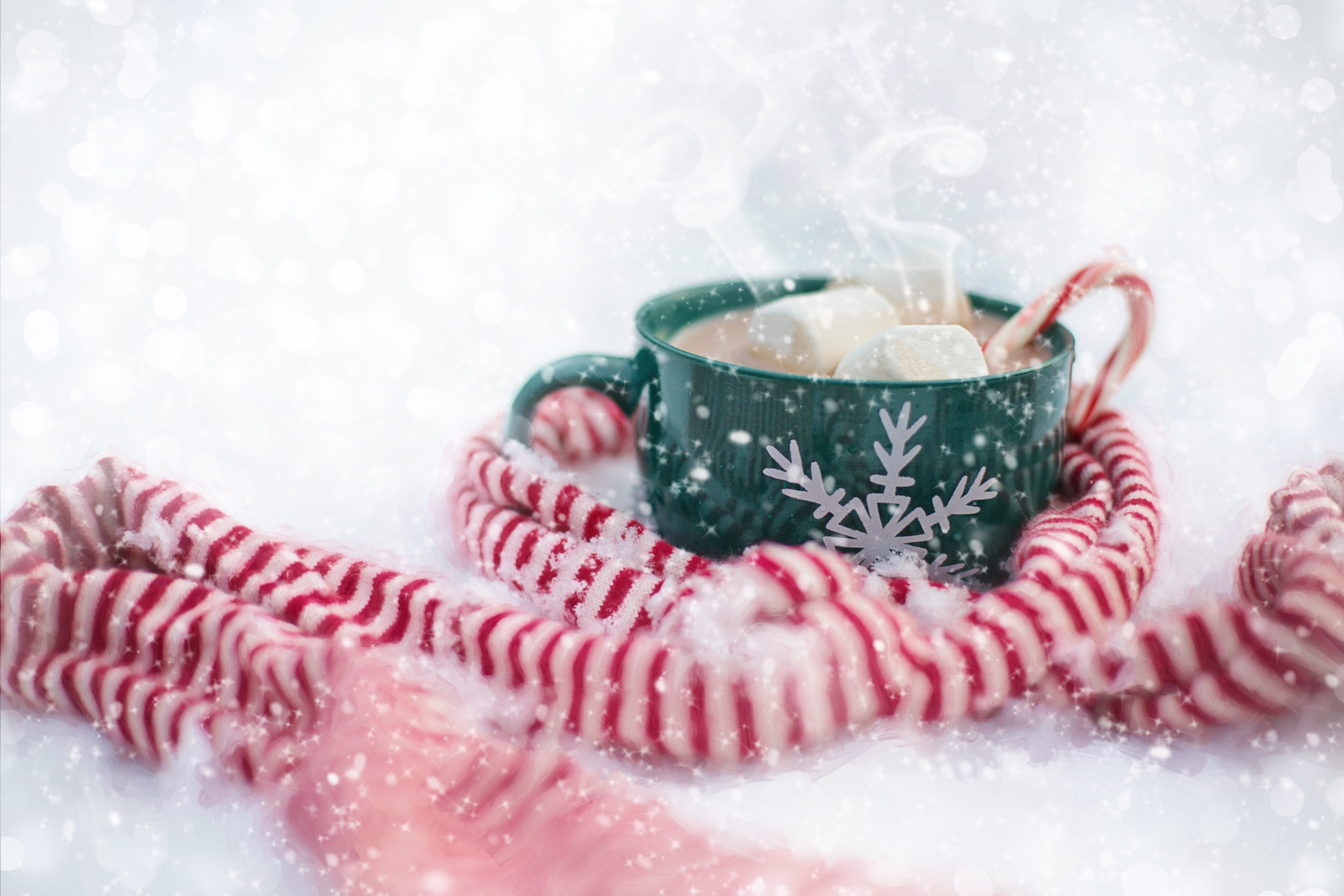 seasonal, hot chocolate, happy, hot, indoors, warm clothing, cocoa, marshmallows, food and drink, chocolate, delicious, clothing, one person, snowflake, HD Wallpaper