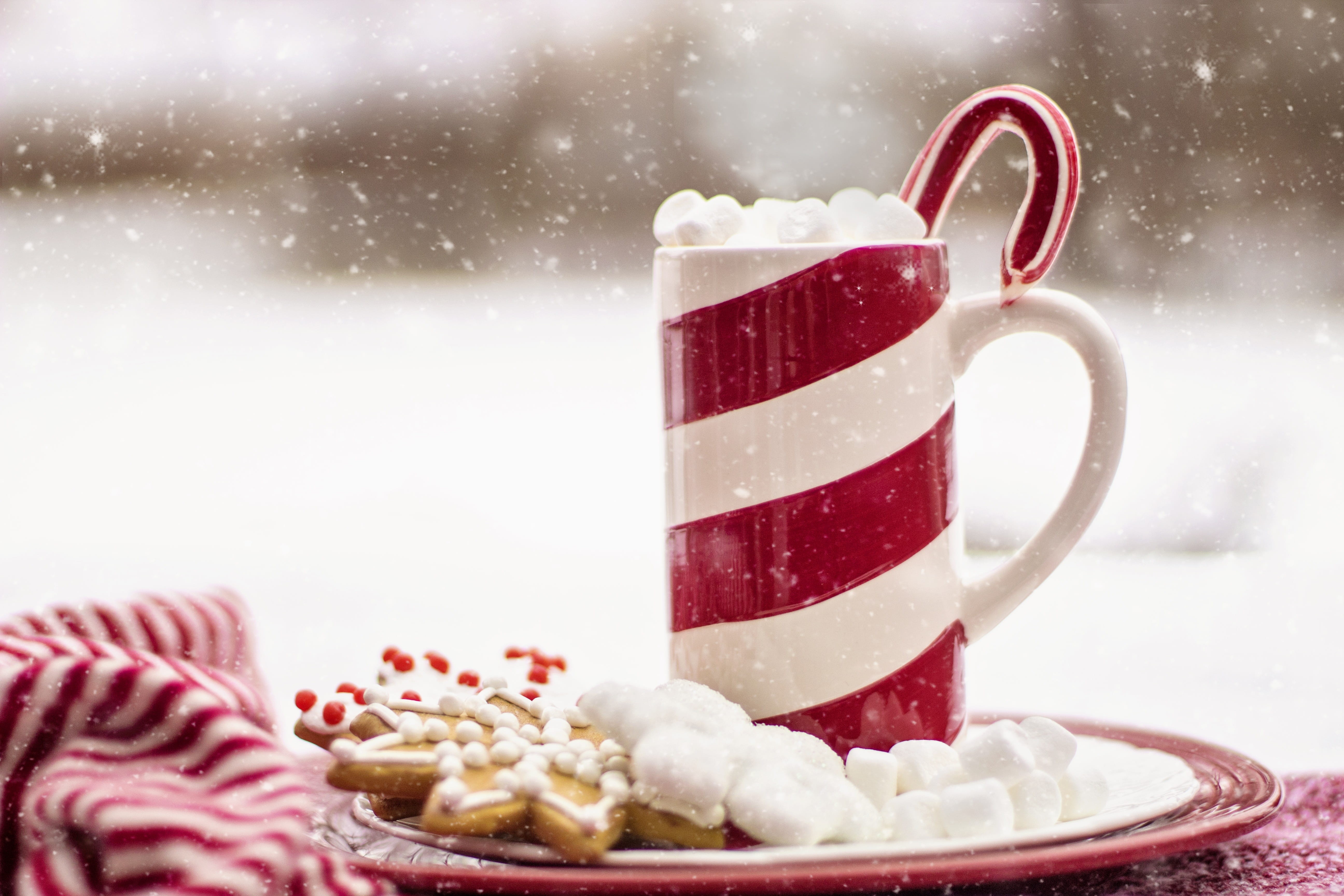 snowing, baked, plate, chocolate, milk, seasonal, holiday - event, christmas, delicious, candy, candy cane, refreshment, mug, food, pastry, beverage, celebration, HD Wallpaper