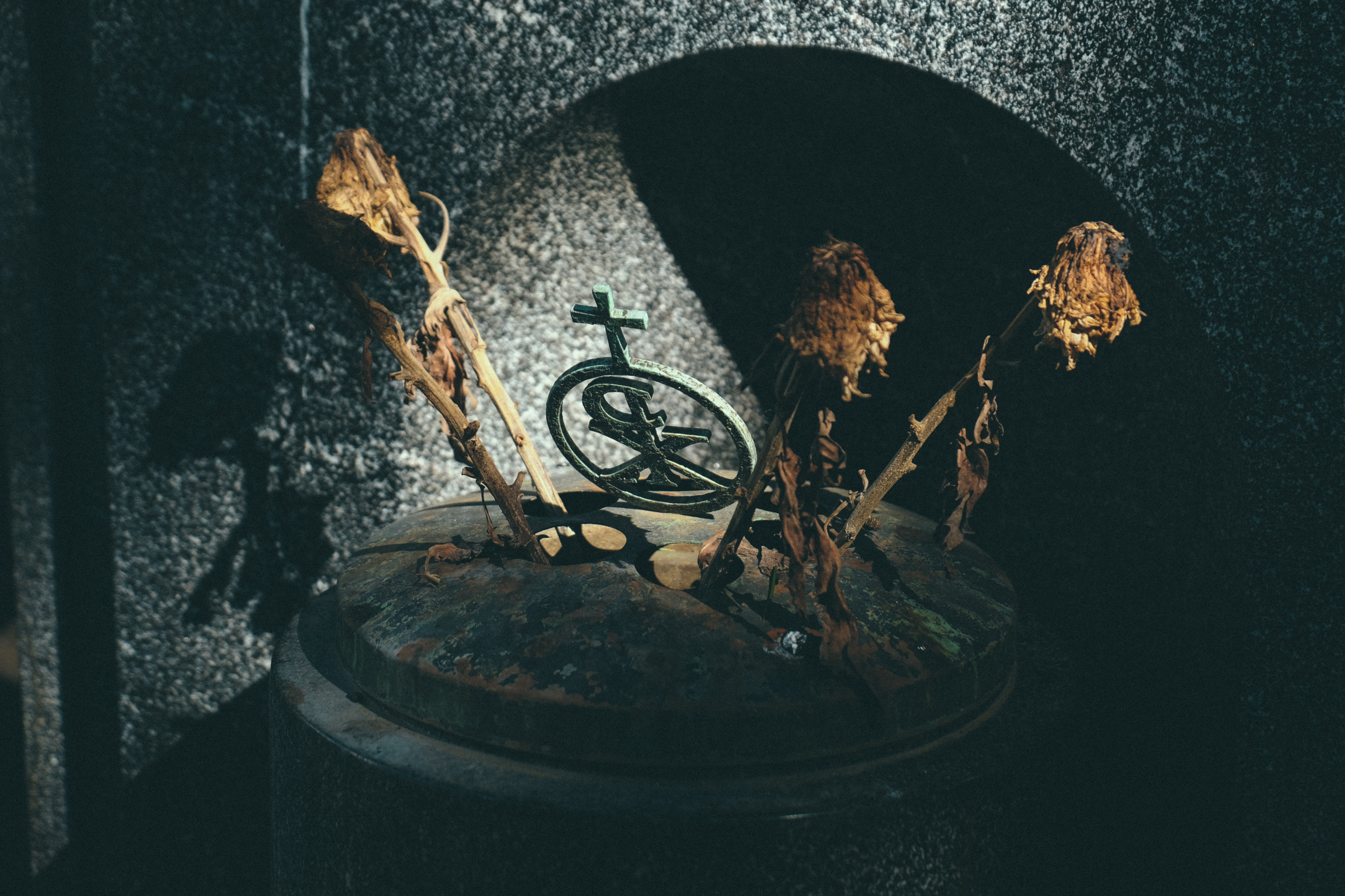 spoke, cyclist, plant, rusty, building, metal, indoors, vehicle, container, no people, stick, 5K, rust, sports, sculpture, mountain bike, high angle view, HD Wallpaper