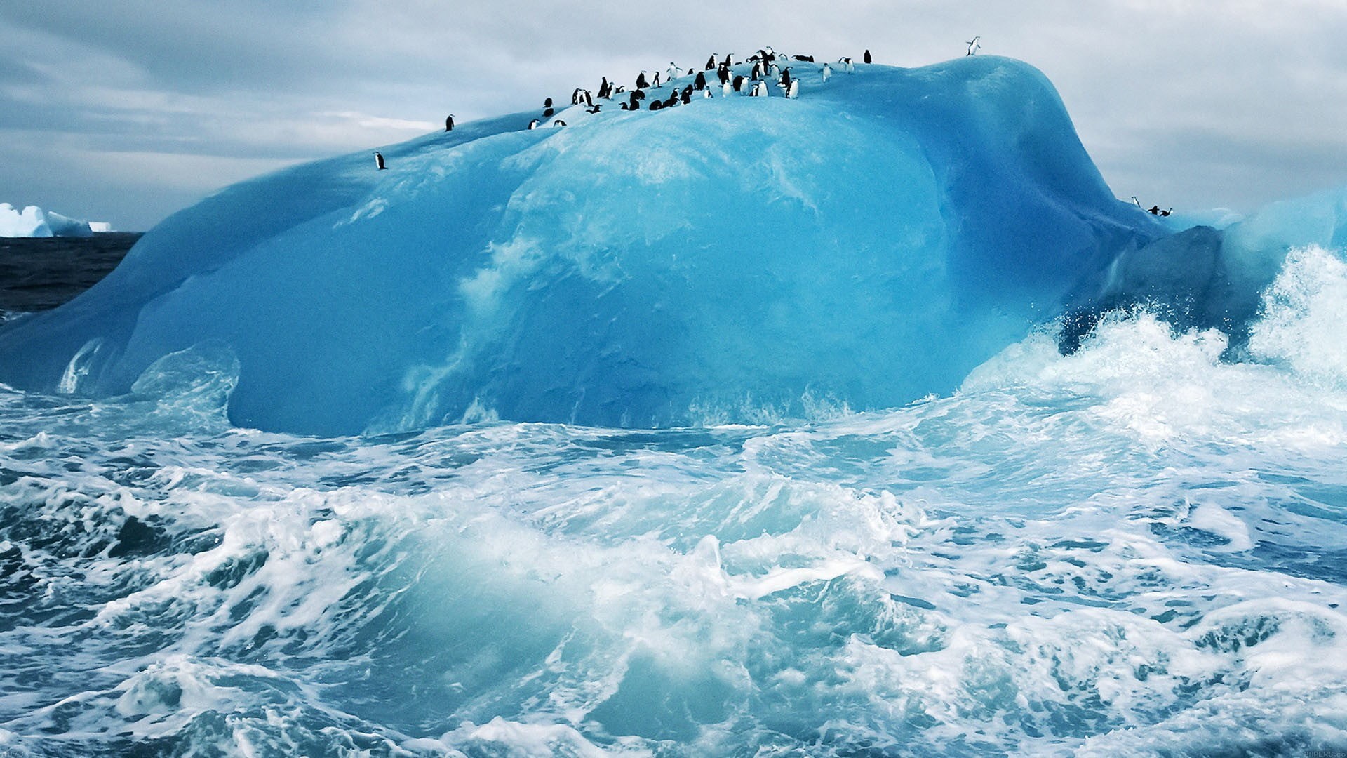 nature, power in nature, sky, no people, birds, wave, penguins, sea, motion, scenics - nature, iceberg, outdoors, cloud - sky, frozen, 1080P, flowing water, HD Wallpaper