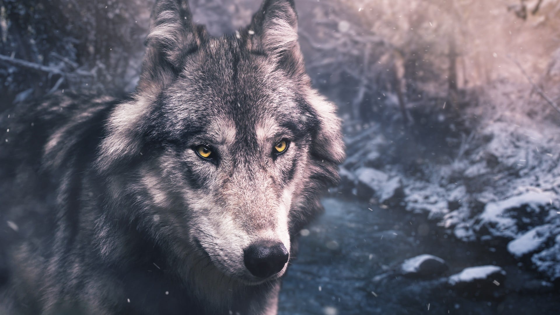 fur, outdoors, domestic, noble, impressive, cold temperature, husky, cold, snowing, ice, domestic animals, forest, stream, alaska, wildlife, vertebrate, HD Wallpaper