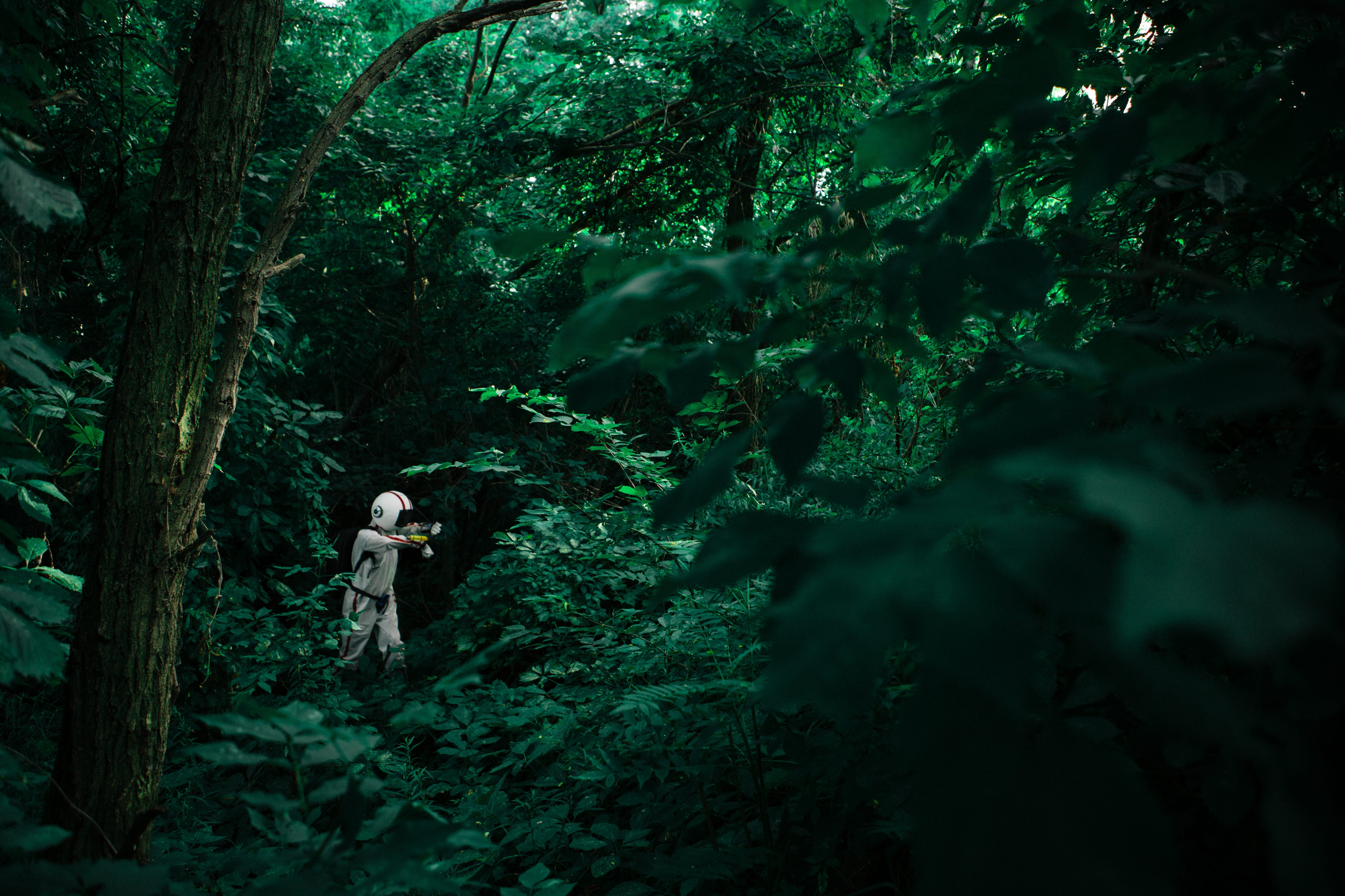 forest, green color, green, plant, wearing, lost, costume, hunter, spacesuit, play, astronaut, trunk, nature, shirt, near, journey, tranquility, day, real people, HD Wallpaper