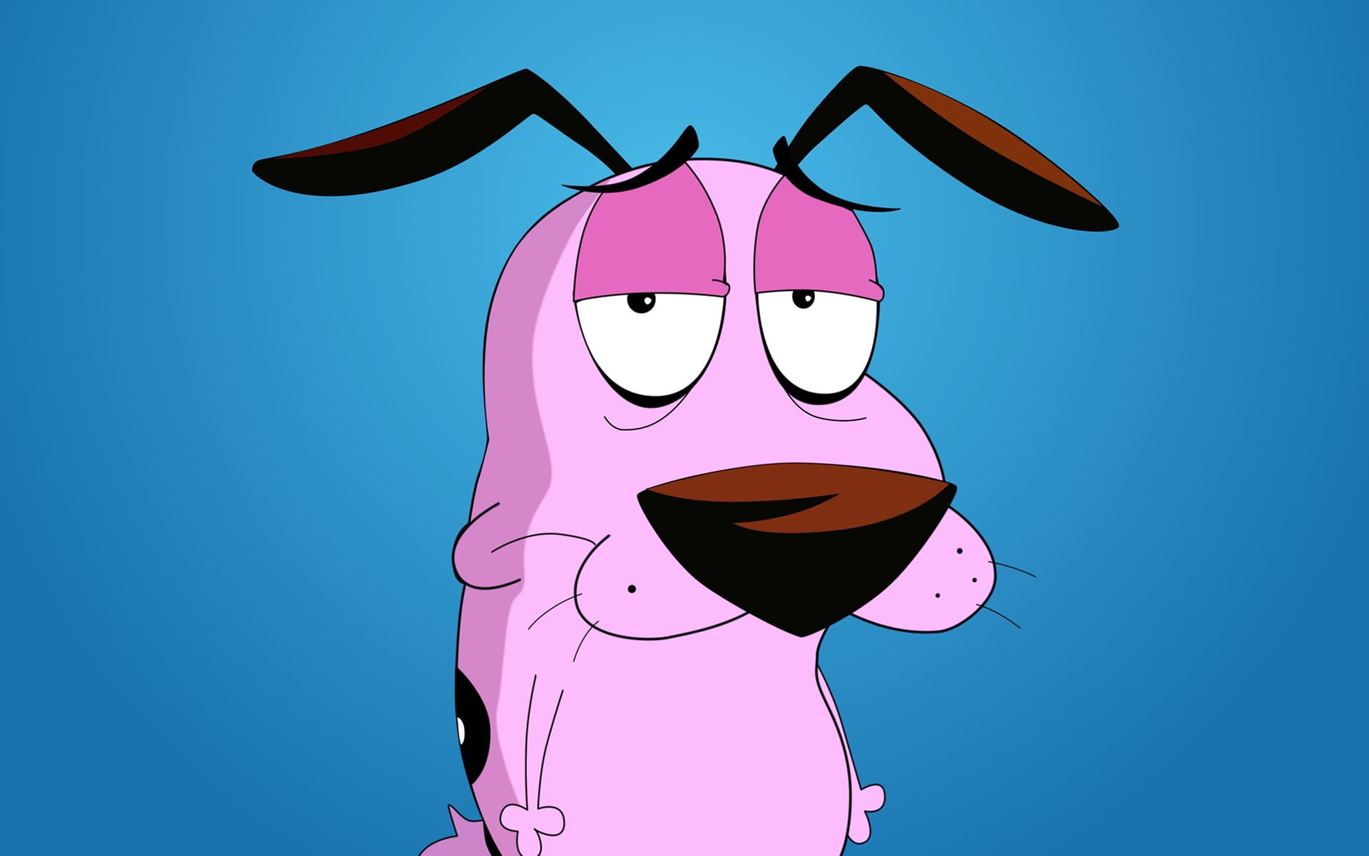 Cartoons, leisure activity, creativity, disguise, hat, indoors, one person, cowardly, blue background, nature, standing, 1080P, pink color, day, dog, network, HD Wallpaper