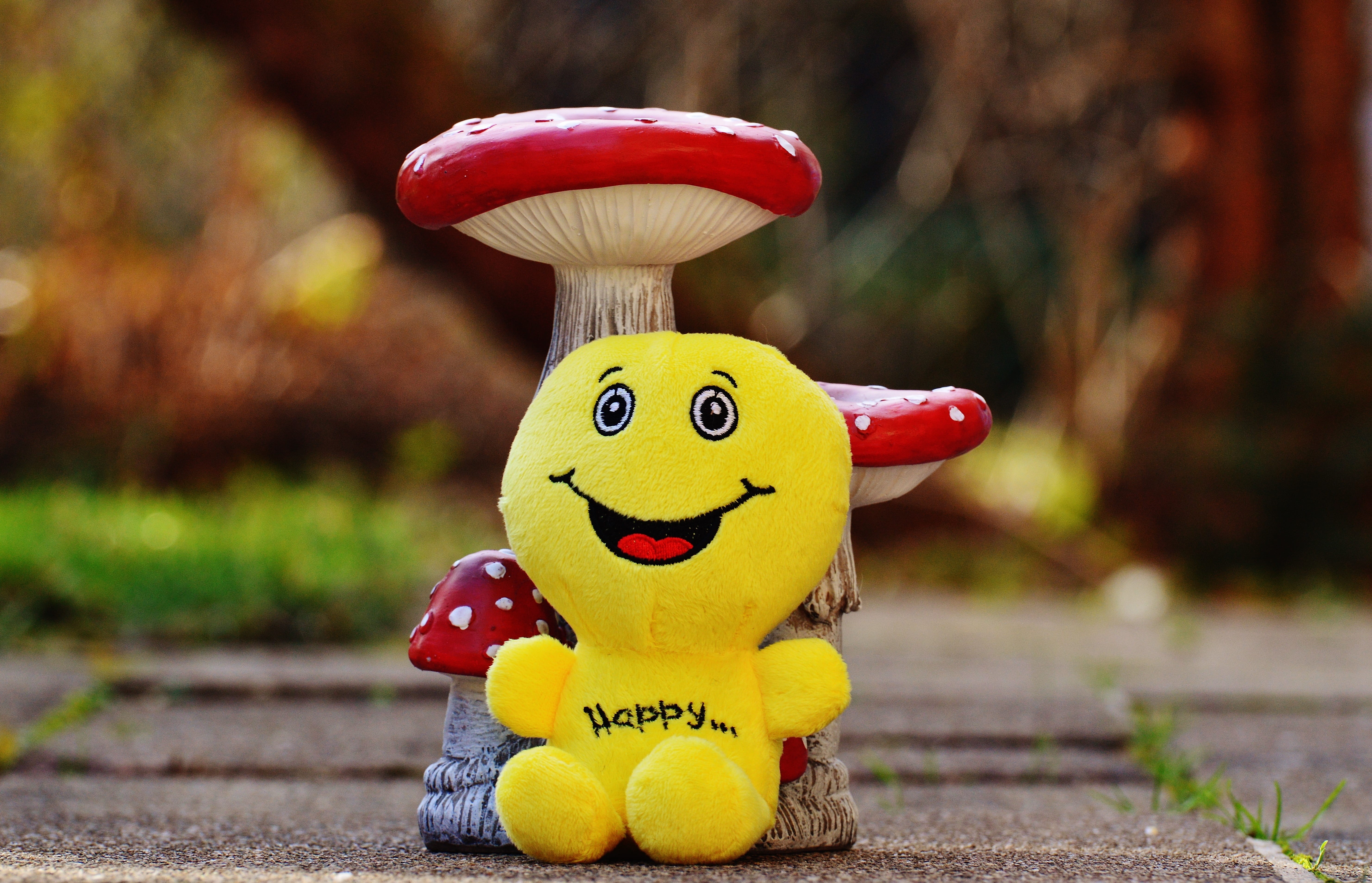 nature, yellow, good mood, plush, creativity, positive, life is beautiful, humor, close-up, sweet, outdoors, beginning, happiness, fun, day, representation, HD Wallpaper