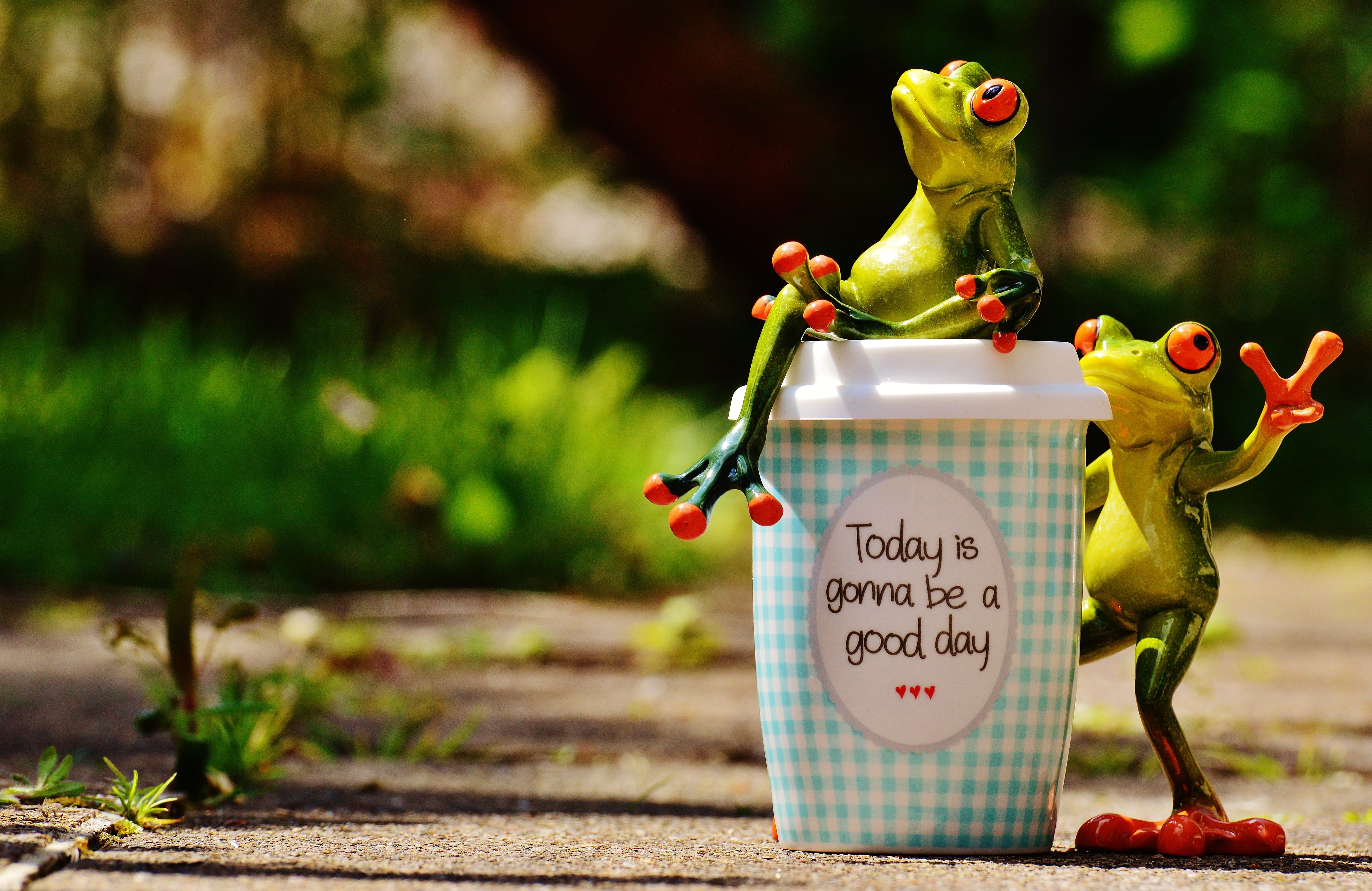positive, no people, frogs, toy, nature, close-up, art and craft, beautiful day, life is beautiful, text, beginning, 5K, good mood, joy of life, laugh, HD Wallpaper