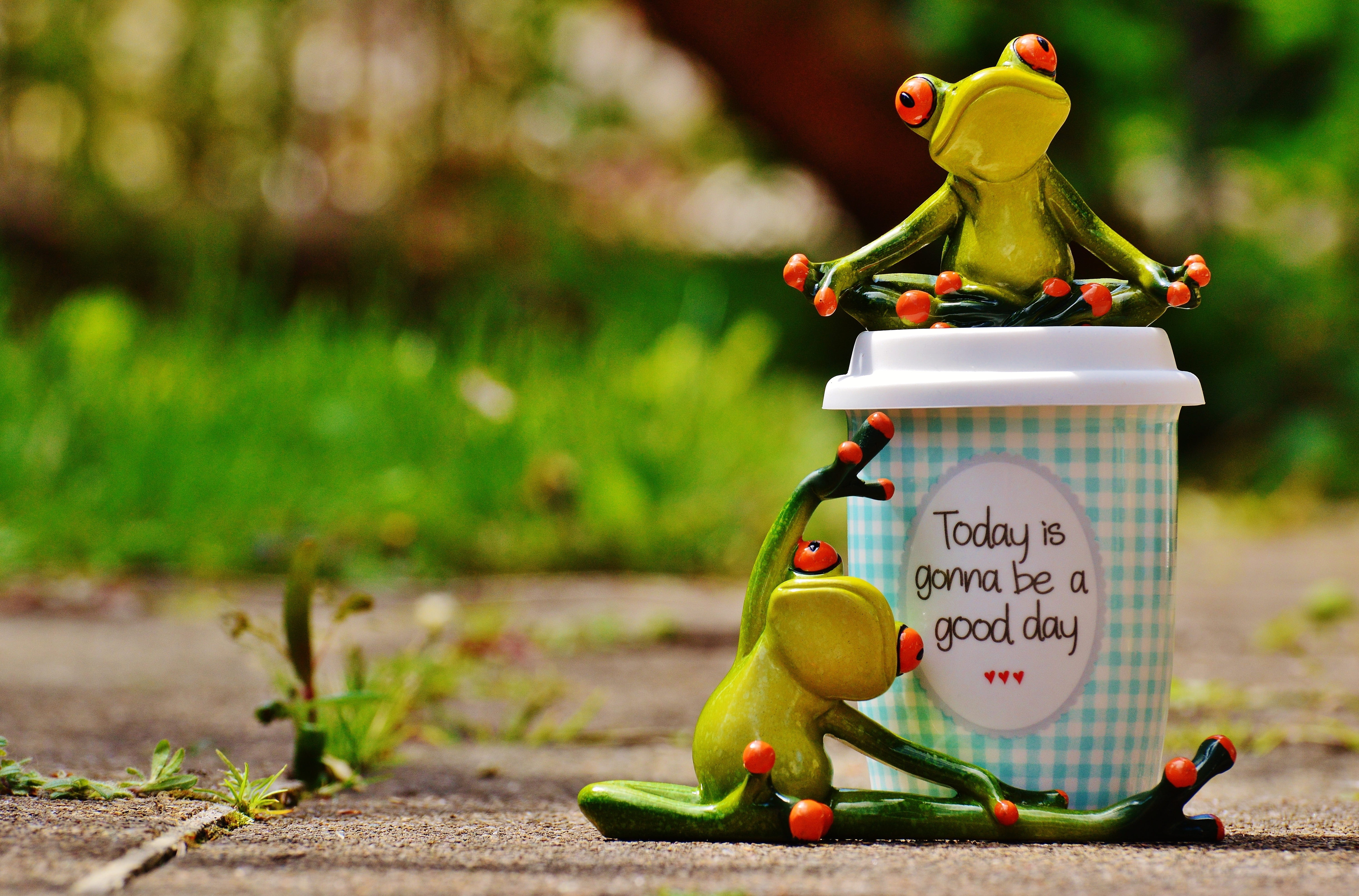 food and drink, life is beautiful, disposable, toy, funny, text, sweet, good mood, no people, plant, happy, food, emotion, frogs, happiness, beside, figurines, HD Wallpaper