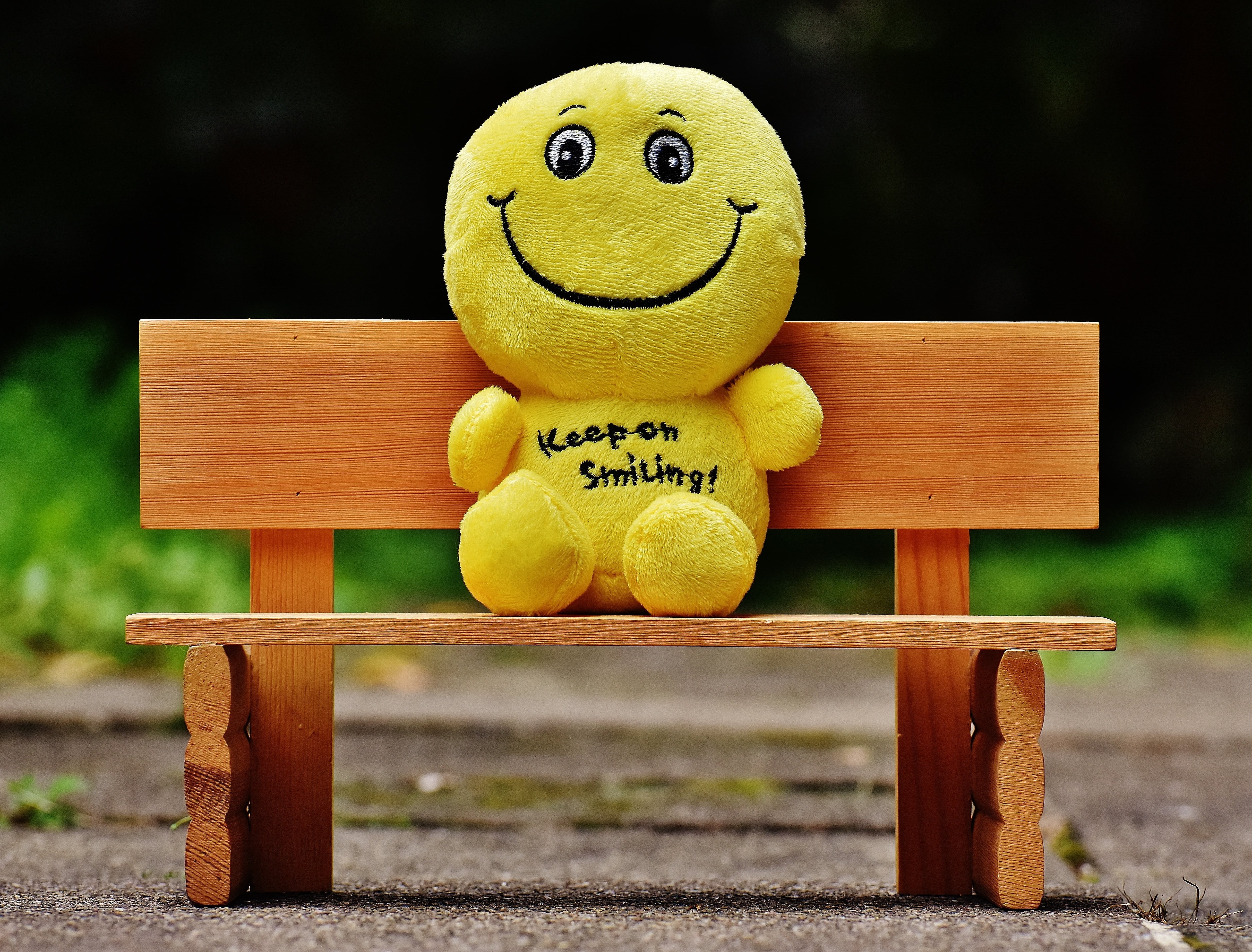 nature, emoticon, close-up, cute, emotion, smiley, communication, smile, park bench, life is beautiful, bench, smilies, joy of life, teddy Bear, yellow, HD Wallpaper