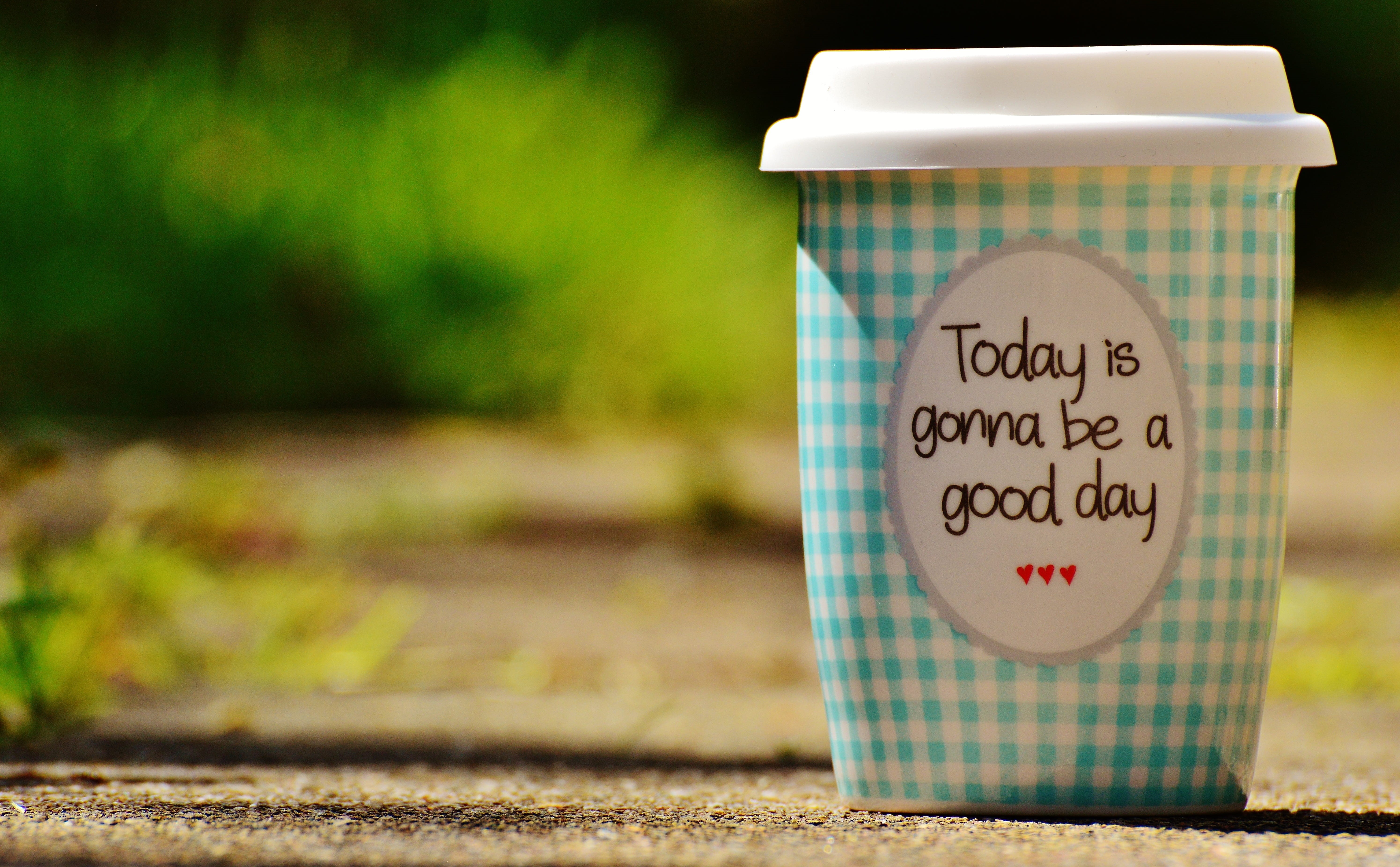 coffee, cheerful, pep talk, nature, container, smile, close-up, information, beautiful day, joy of life, focus on foreground, no people, laugh, teal, label, HD Wallpaper