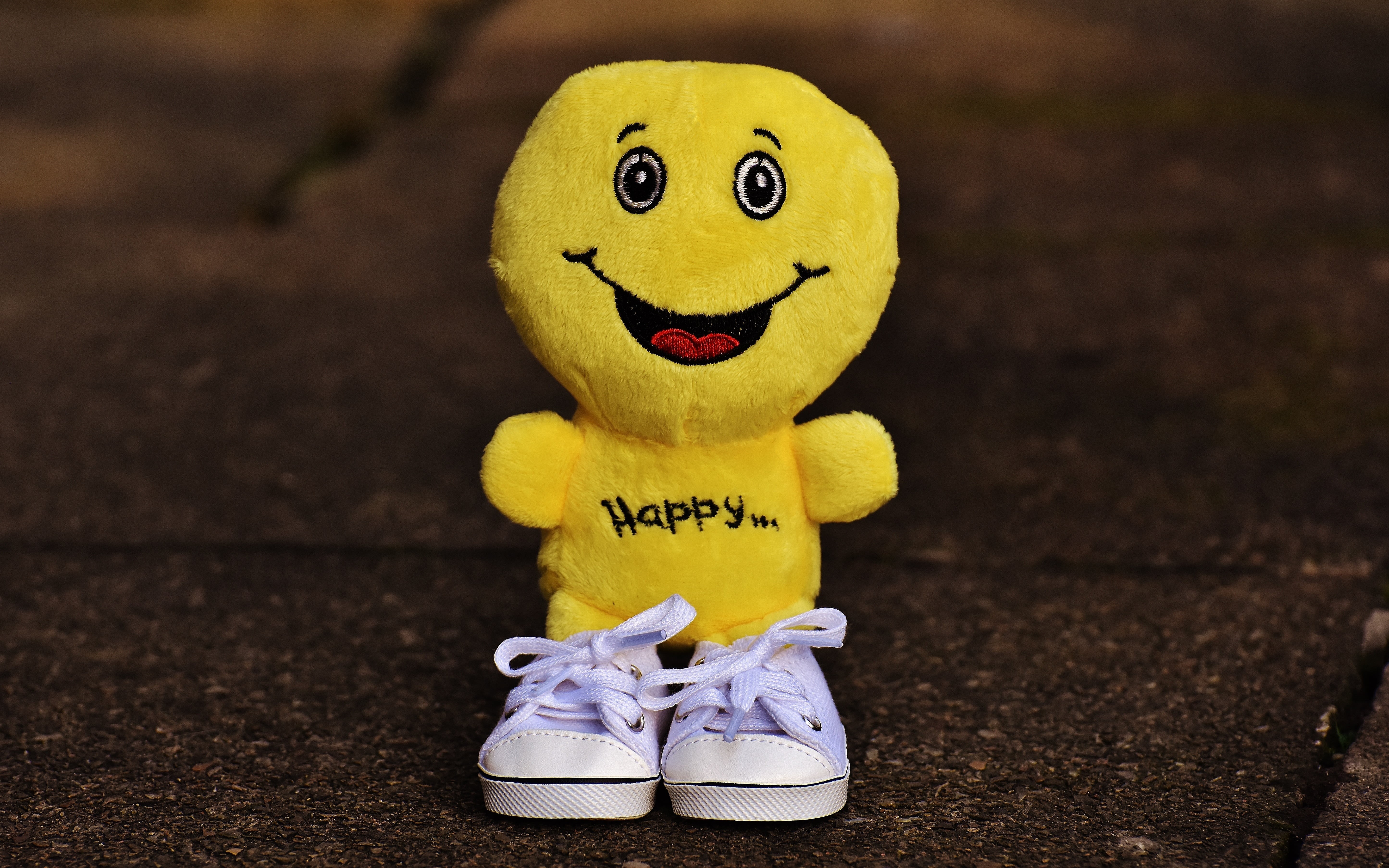 anthropomorphic smiley face, focus, sweet, selective, toy, laughing face, positive, shoes, happiness, frohnatur, smiley, cheerful, beginning, 5K, day, HD Wallpaper