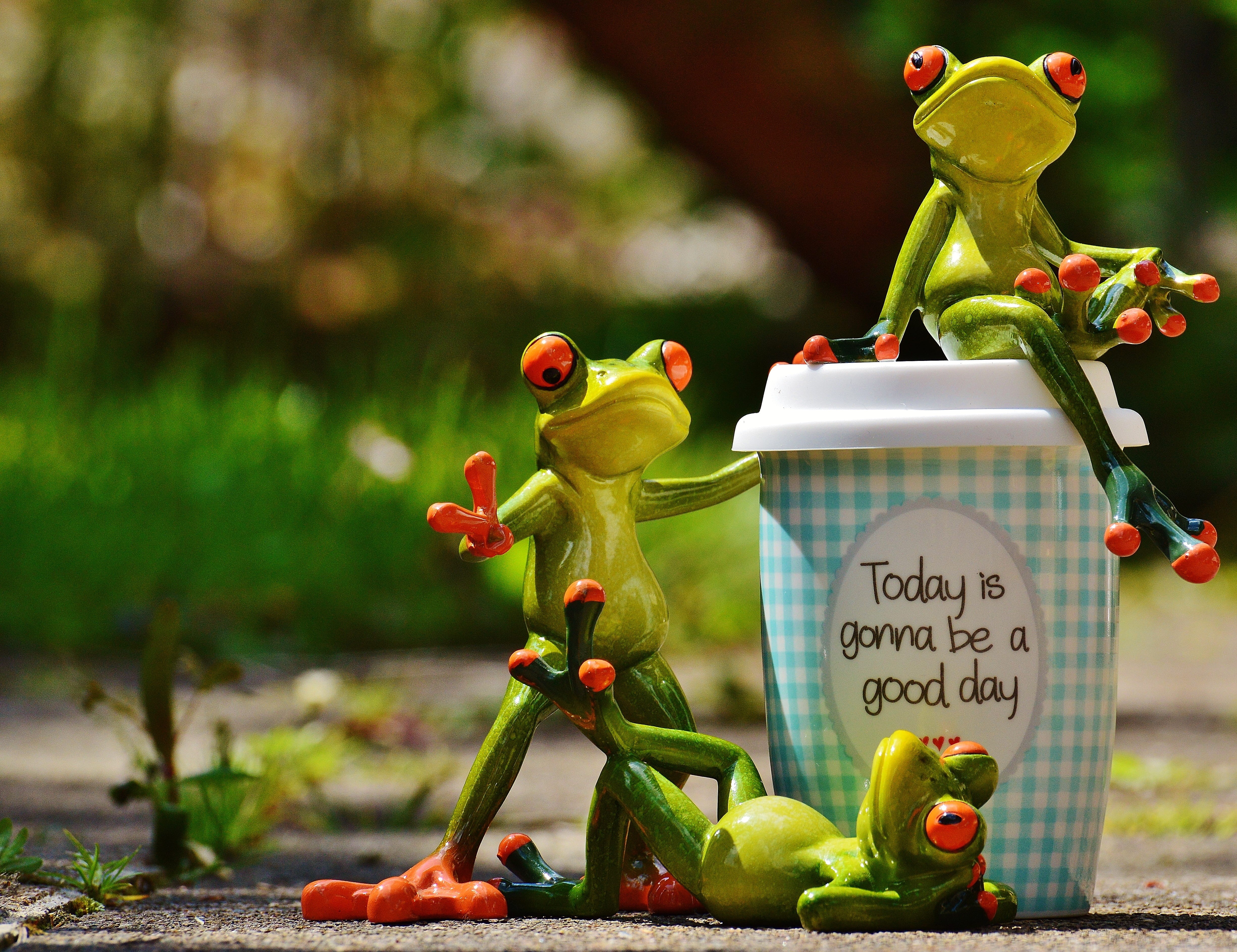 vegetable, frogs, human representation, coffee, food, day, happiness, good mood, frog, happy, beginning, emotion, art and craft, fruit, start, toy, container, HD Wallpaper