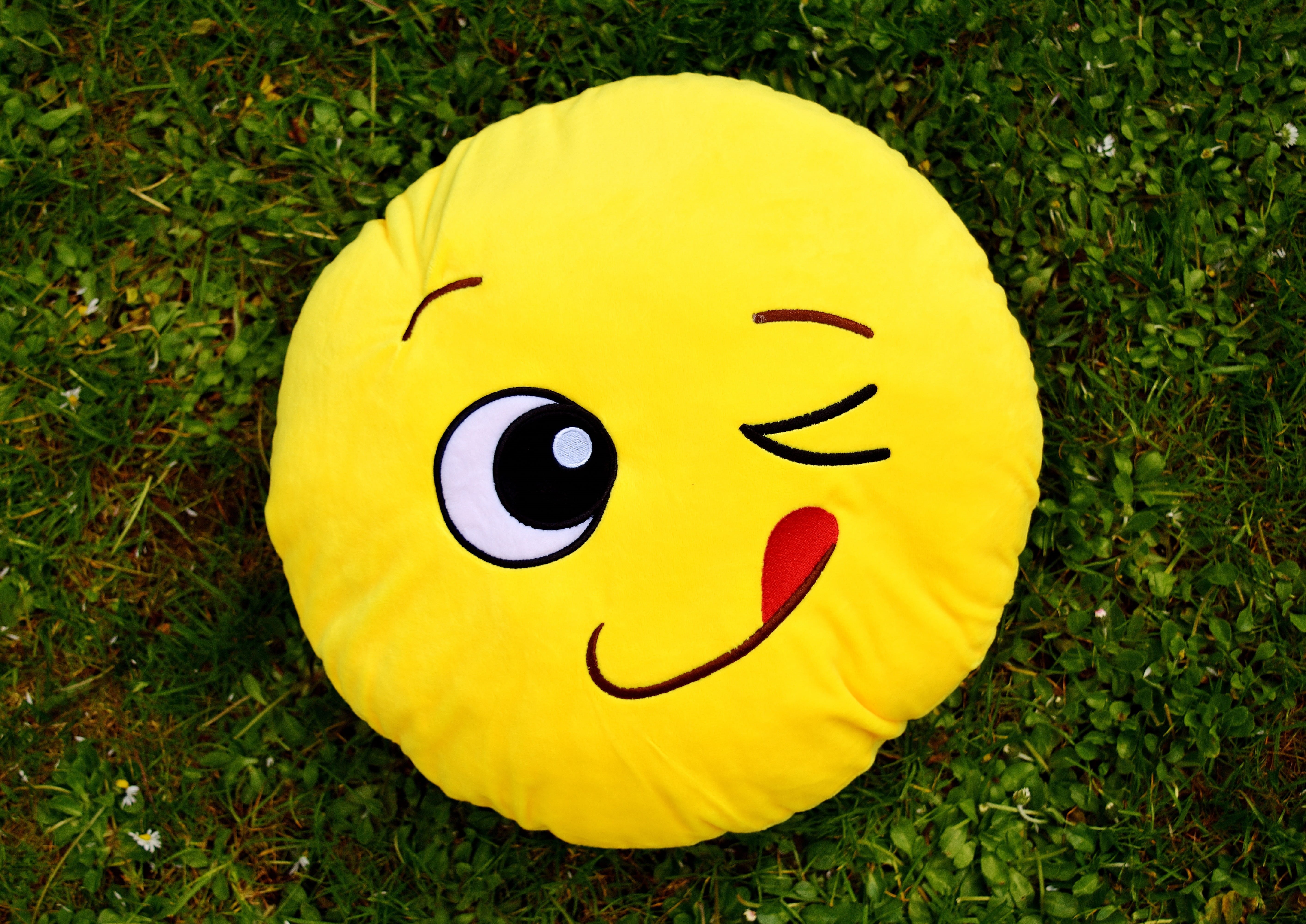 field, representation, anthropomorphic face, land, no people, color, close-up, anthropomorphic, meadow, yellow, face, happy, fun, still life, nature, Smiley, HD Wallpaper
