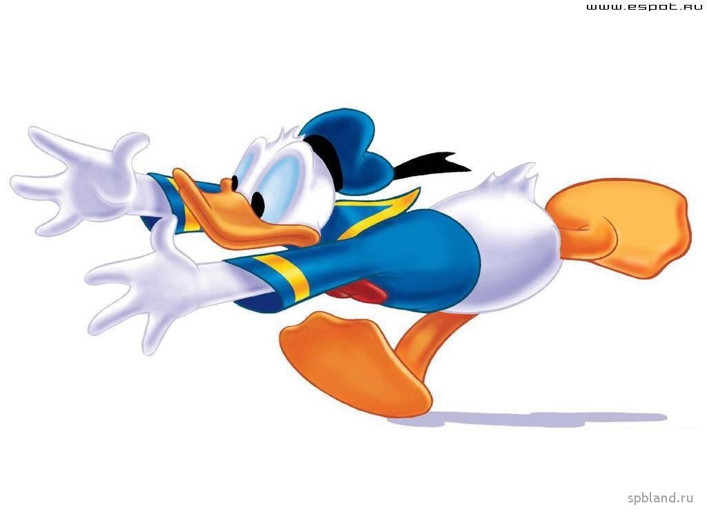 hd, Donald Duck, ducks, art, donald, Cartoons, animals, duck, 480P, x, HD Wallpaper