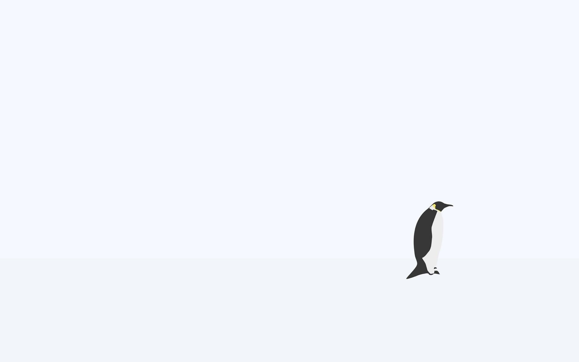 copy space, day, vertebrate, sky, clip, penguin, outdoors, sunlight, vector, full length, antarctica, white, backgrounds, 1080P, illustration, winter, HD Wallpaper