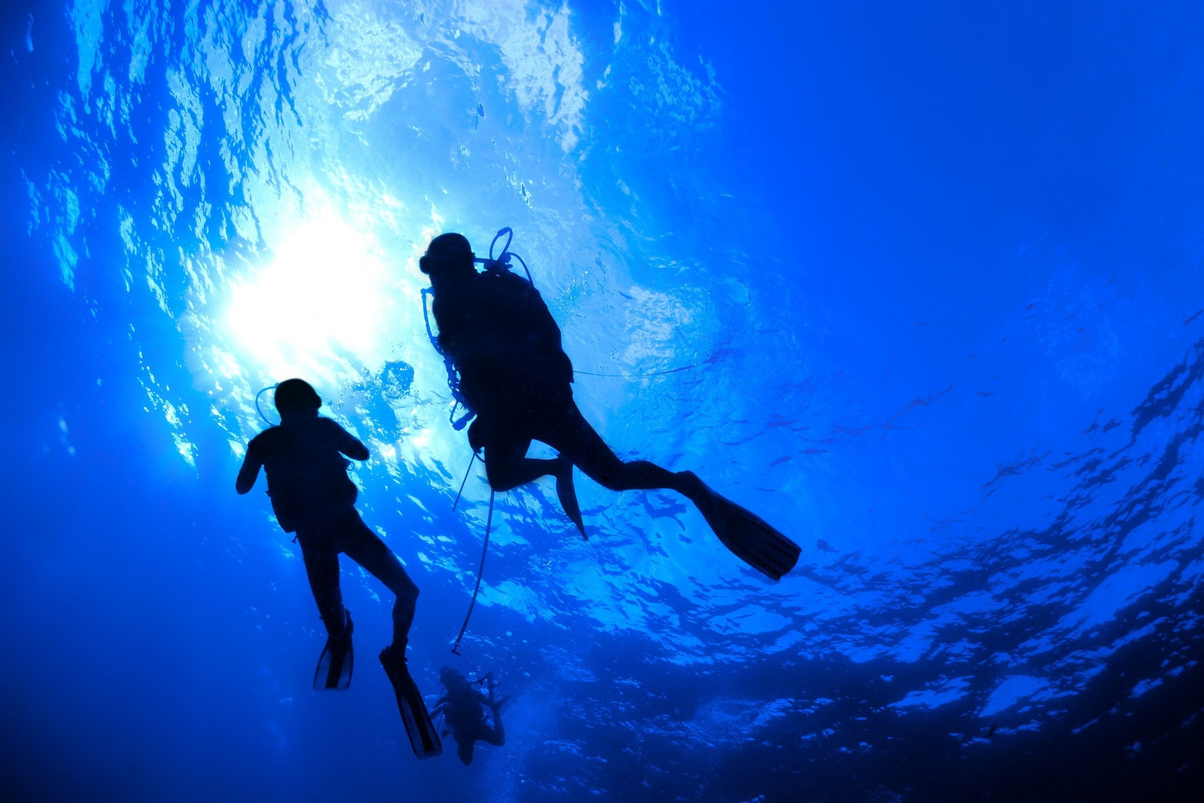 1080P, diver, diving, underwater, sea, scuba, ocean, HD Wallpaper