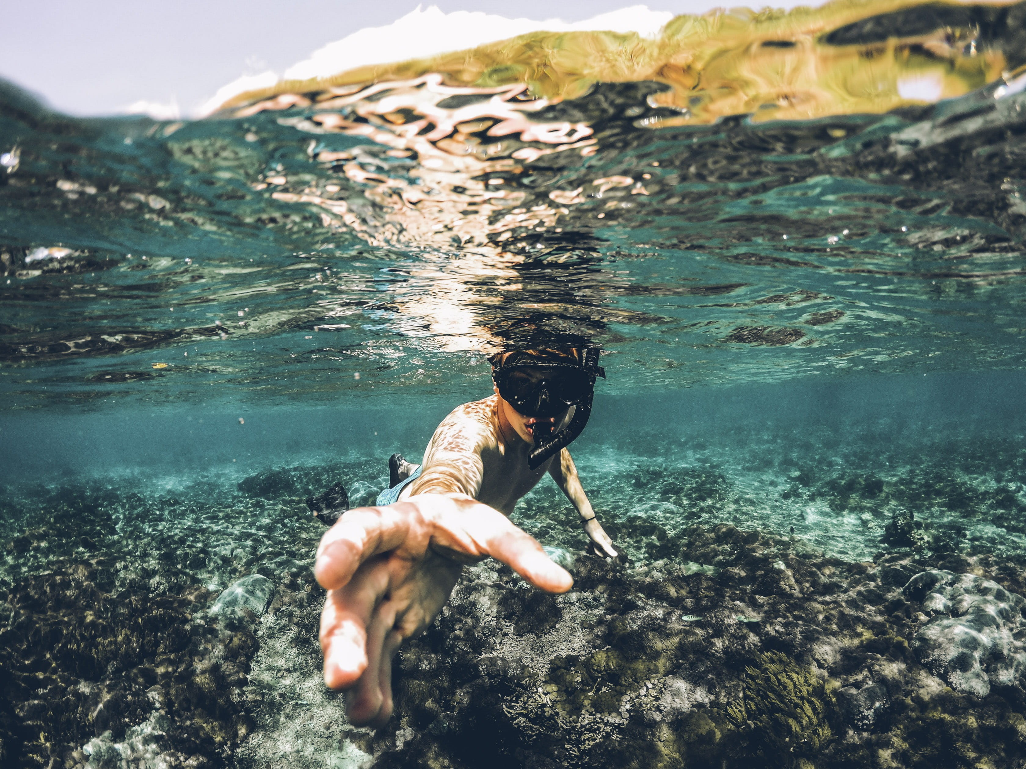 outdoors, surface, reef, lending, enjoyment, bali, photography, recreational Pursuit, man, exercising, 2K, people, adult, snorkeling, snorkler, reaching, HD Wallpaper