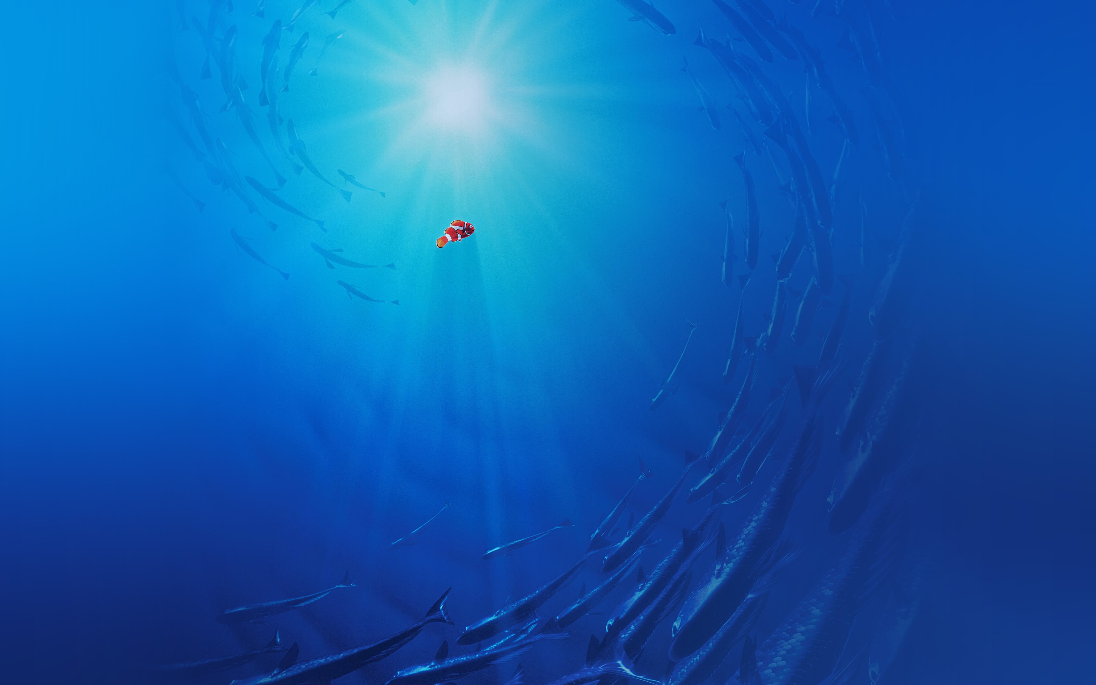 blue, animal themes, disney, 4K, beauty in nature, animals in the wild, underwater, cute, sunbeam, nemo, marine, lens flare, undersea, adventure, winter, HD Wallpaper