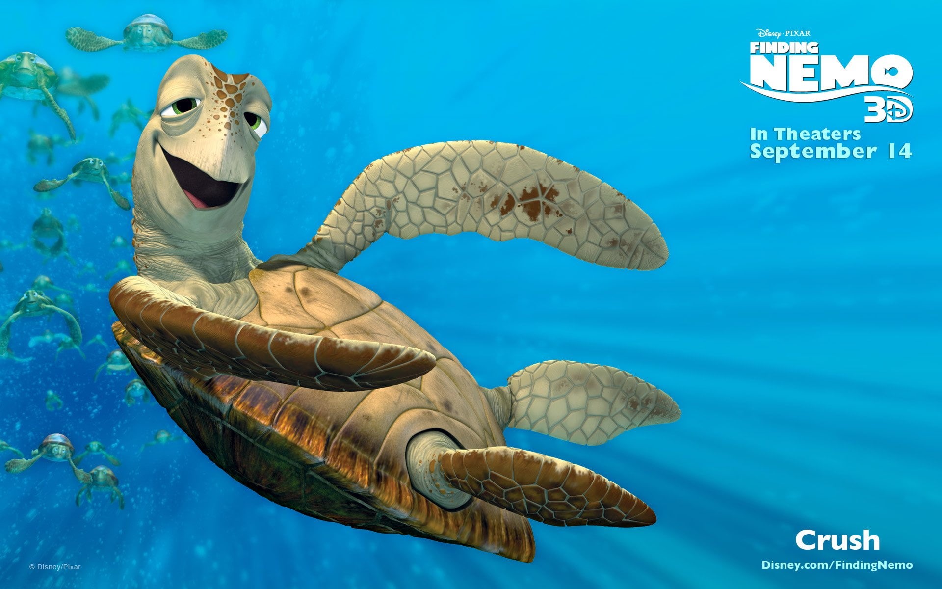 no people, animal themes, Finding Nemo, blue, vertebrate, marine, 1080P, swimming, representation, animal, pool, Crush (Finding Nemo), text, day, underwater, HD Wallpaper