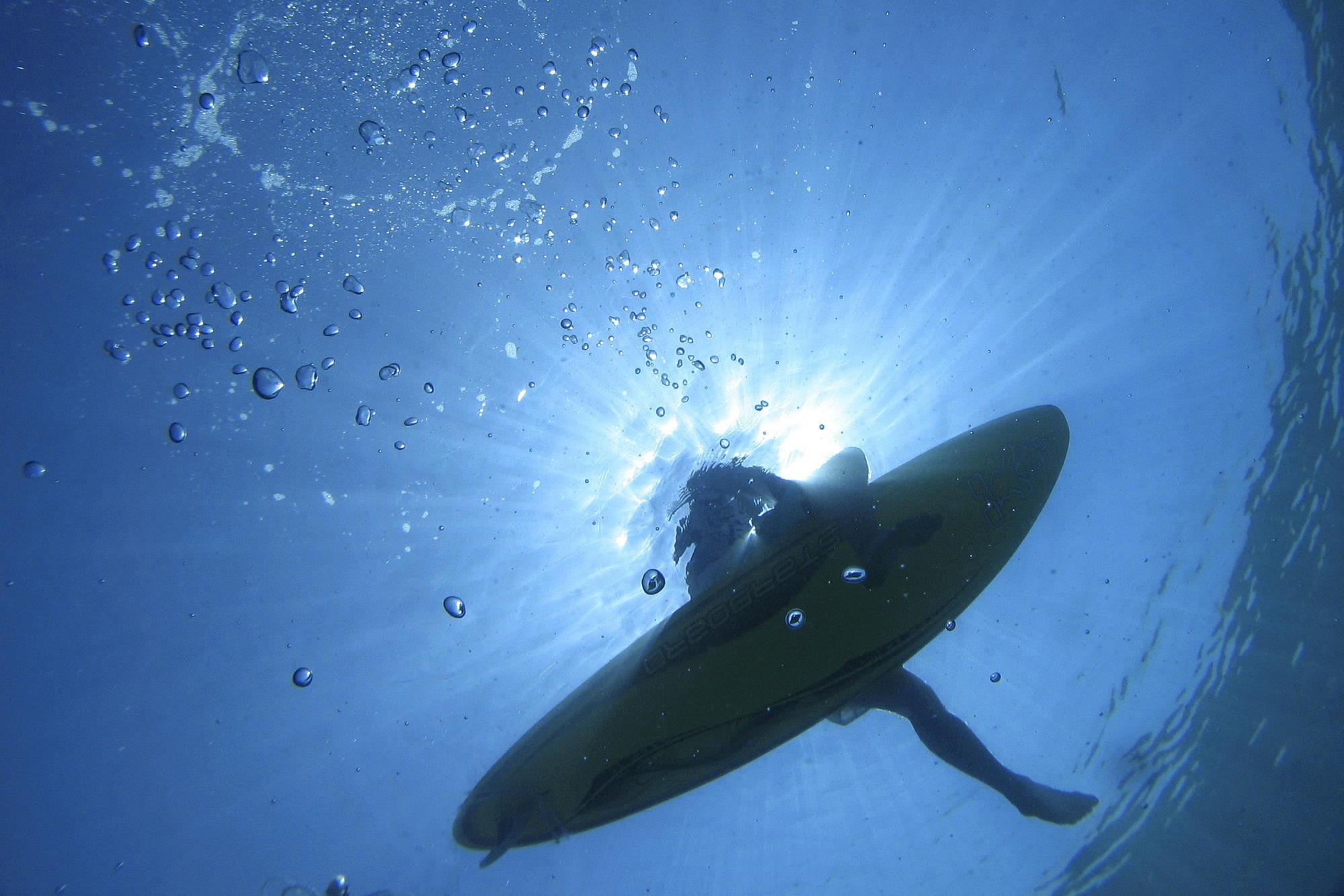 animal themes, animal, water, surfers, surfboard, underwater, swimming, adventure, surfing, outdoors, nature, 1080P, marine, undersea, no people, low angle view, HD Wallpaper