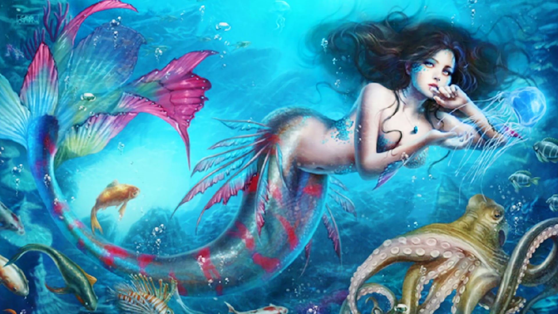 swimming pool, one person, fashion, clothing, fantasia, undersea, women, mar, underwater, abstracto, sea life, animal wildlife, sea, floating on water, HD Wallpaper