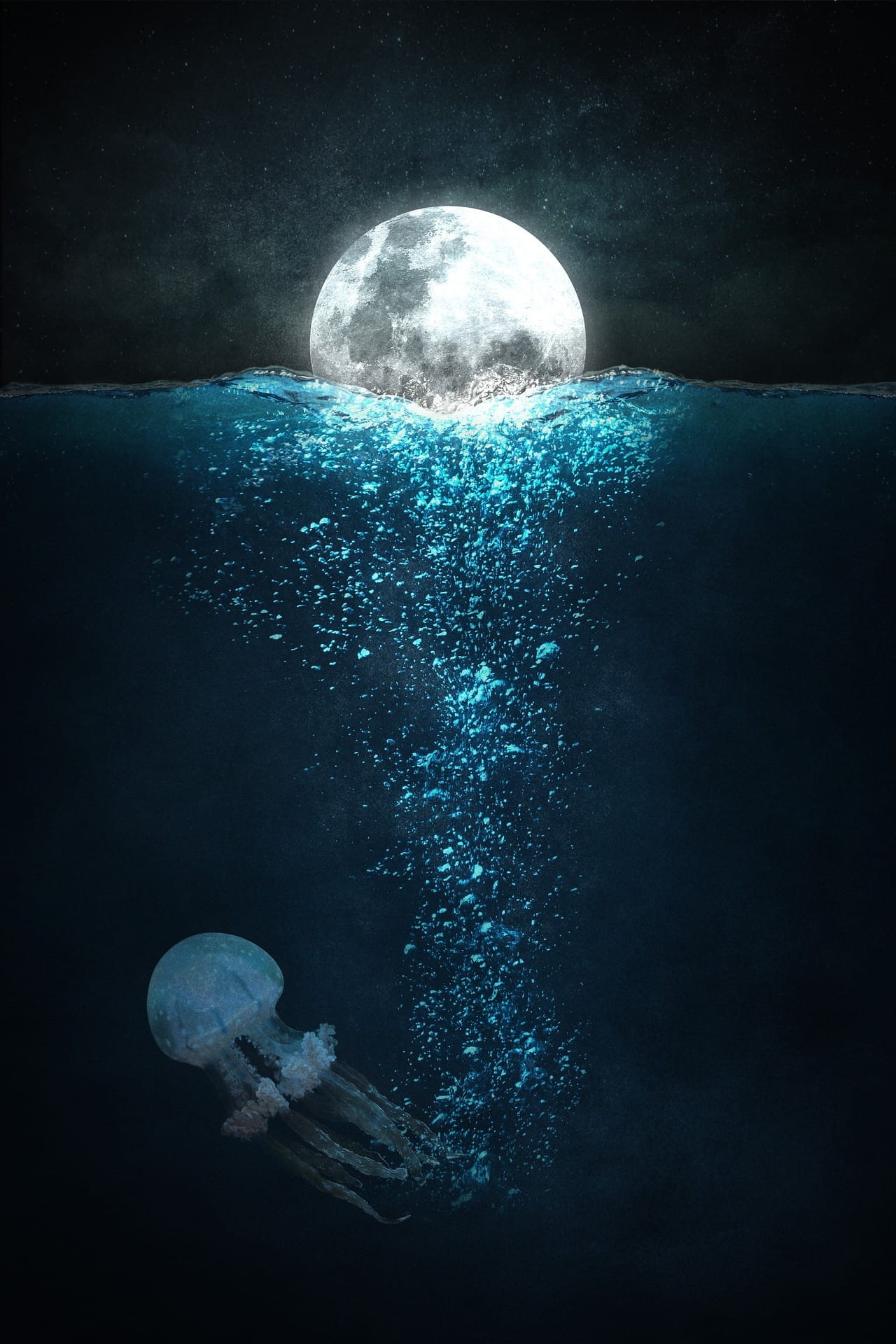 sea life, sky, deep, water, star - space, underwater, astronomy, marine, full, animals in the wild, planetary moon, no people, moon, outdoors, sea, night, Phone HD Wallpaper