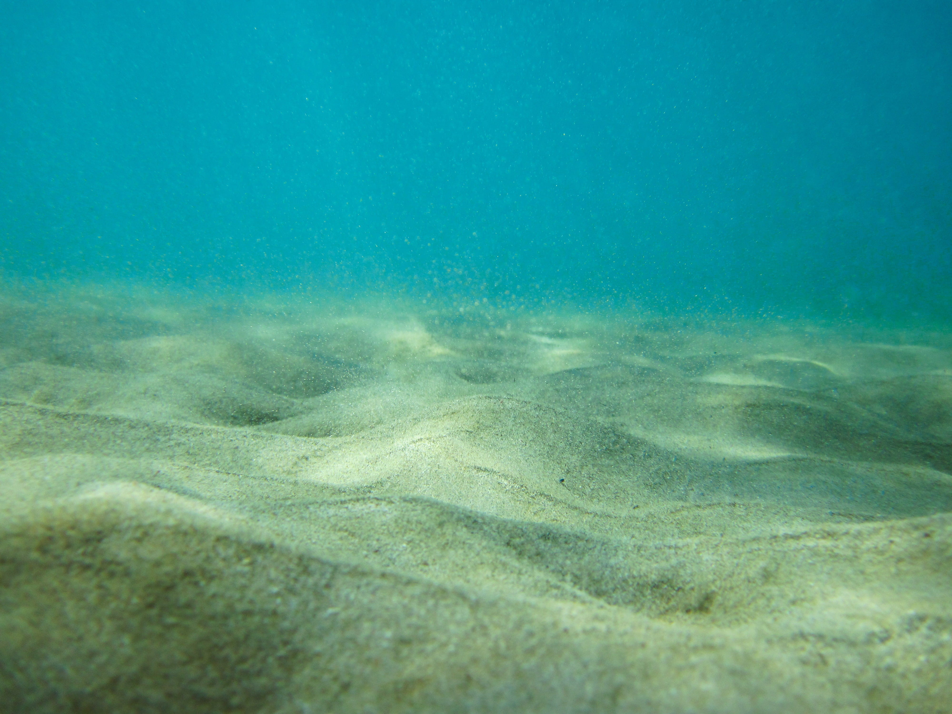 4K, scenics - nature, brown, ocean floor, turquoise Colored, nature, underwater, undersea, vacations, day, floor, marine, beauty in nature, summer, blue, HD Wallpaper