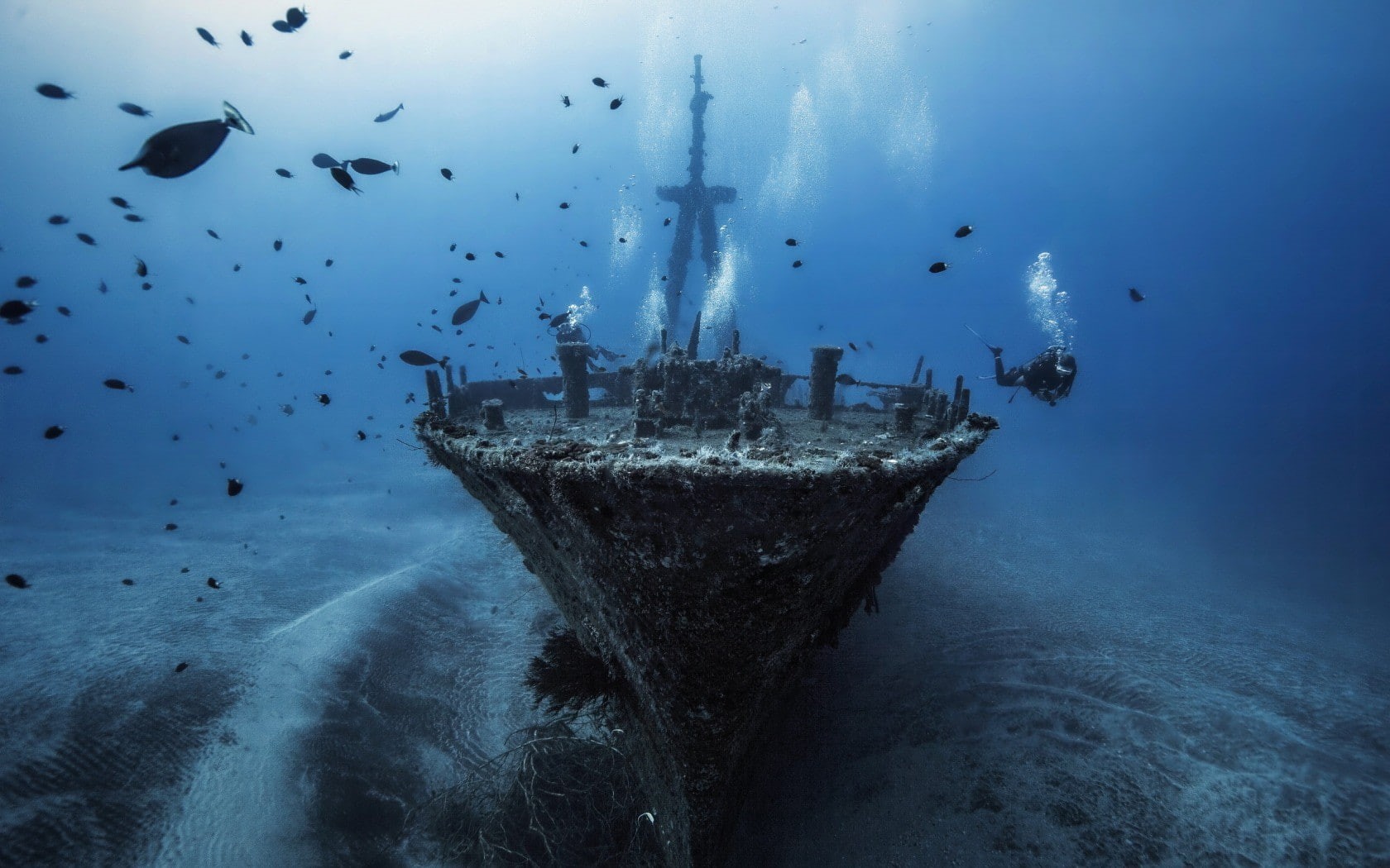 divers, shipwreck, 720P, fish, sea, underwater, HD Wallpaper
