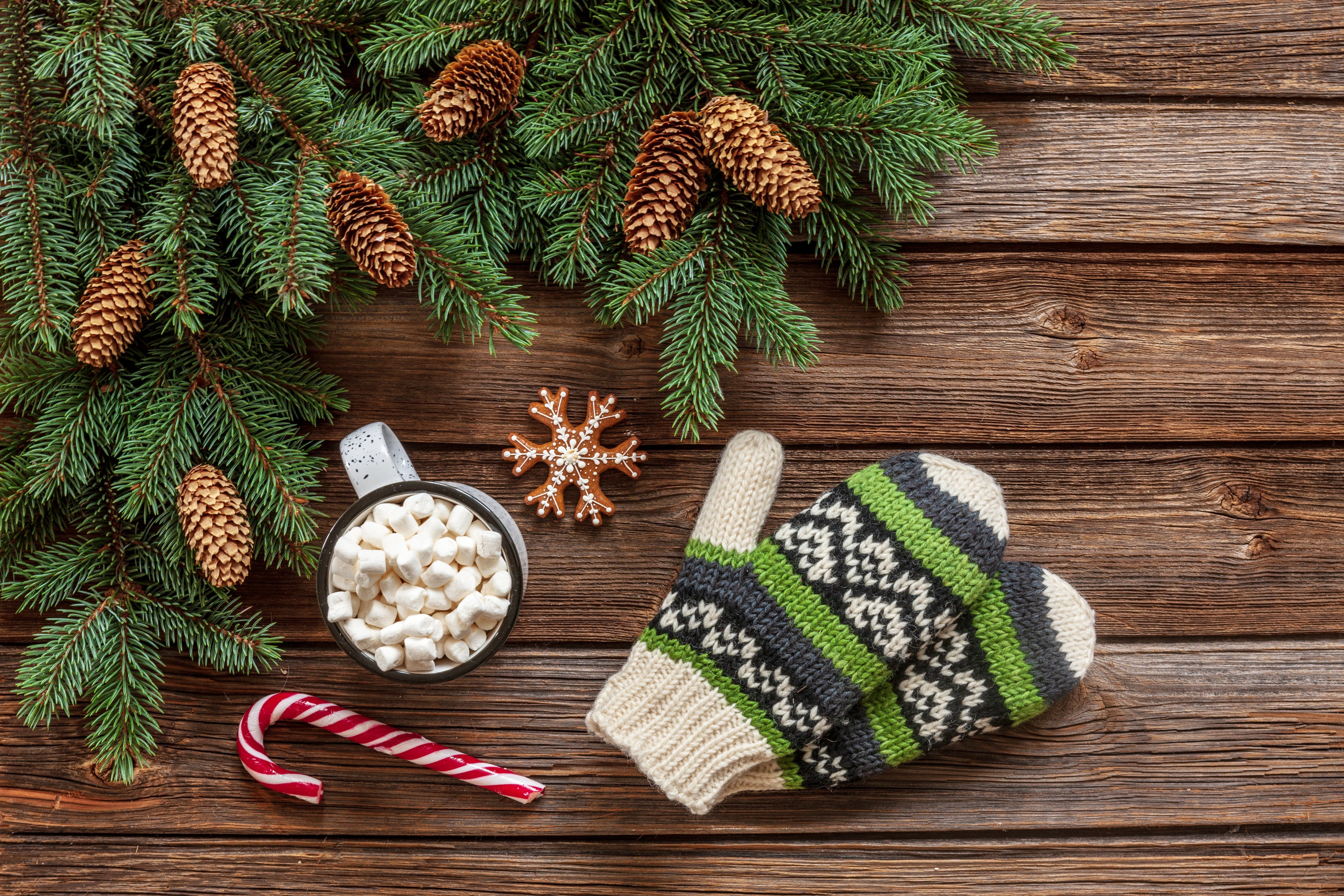 wood, fir tree, hot chocolate, Christmas, cup, decoration, marshmallows, mug, 5K, Merry, marshmallow, xmas, New Year, fir-tree branches, mittens, HD Wallpaper