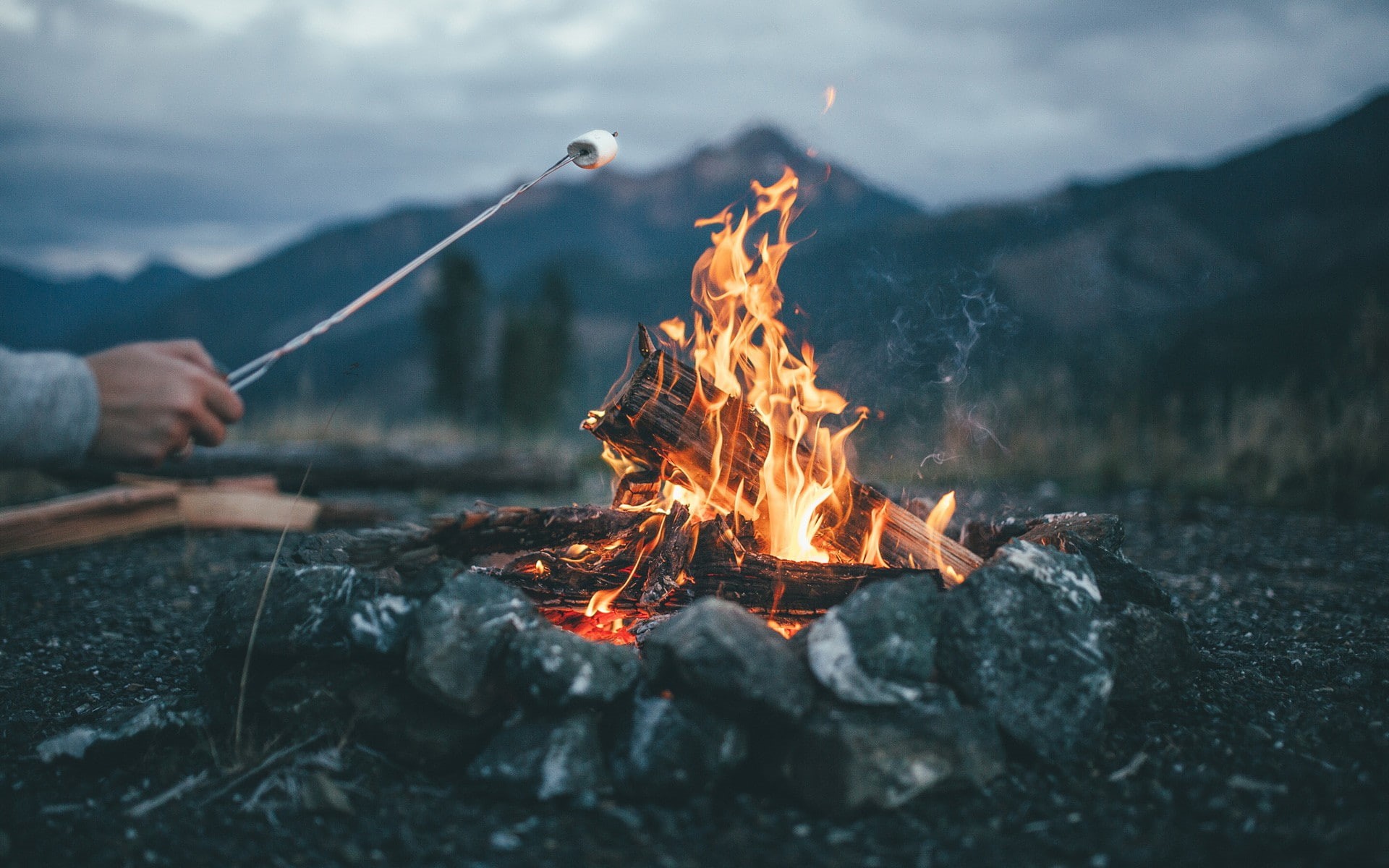 marshmallows, fireplace, 1080P, fire, HD Wallpaper
