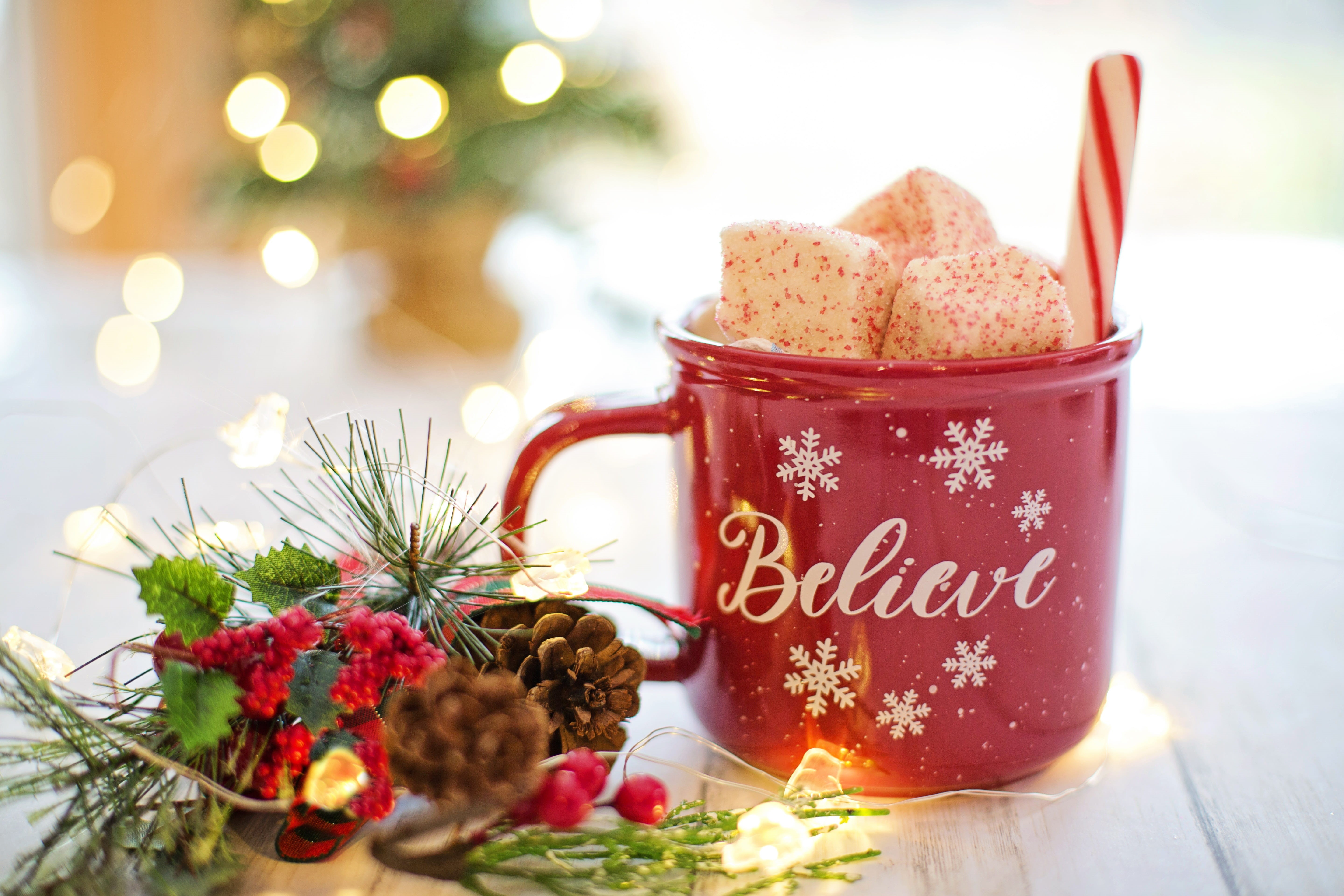 mug, freshness, plant, cup, still life, cocoa, western script, comfort, no people, temptation, celebration, holiday, text, communication, focus on foreground, HD Wallpaper