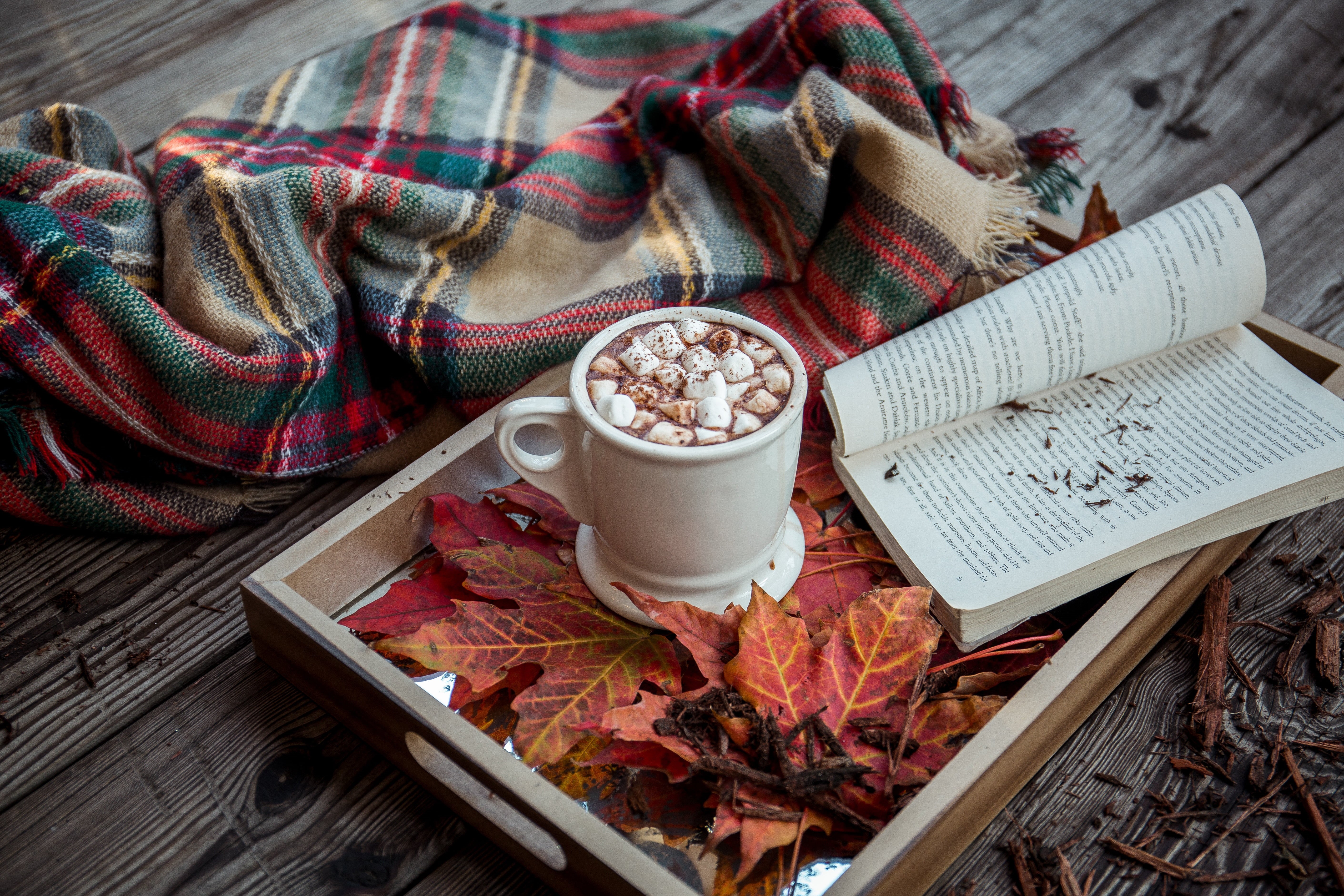 table, breakfast, refreshment, red, container, wood - Material, tea - Hot Drink, drink, crockery, gourmet, heat - Temperature, ceramic, plaid, season, freshness, HD Wallpaper