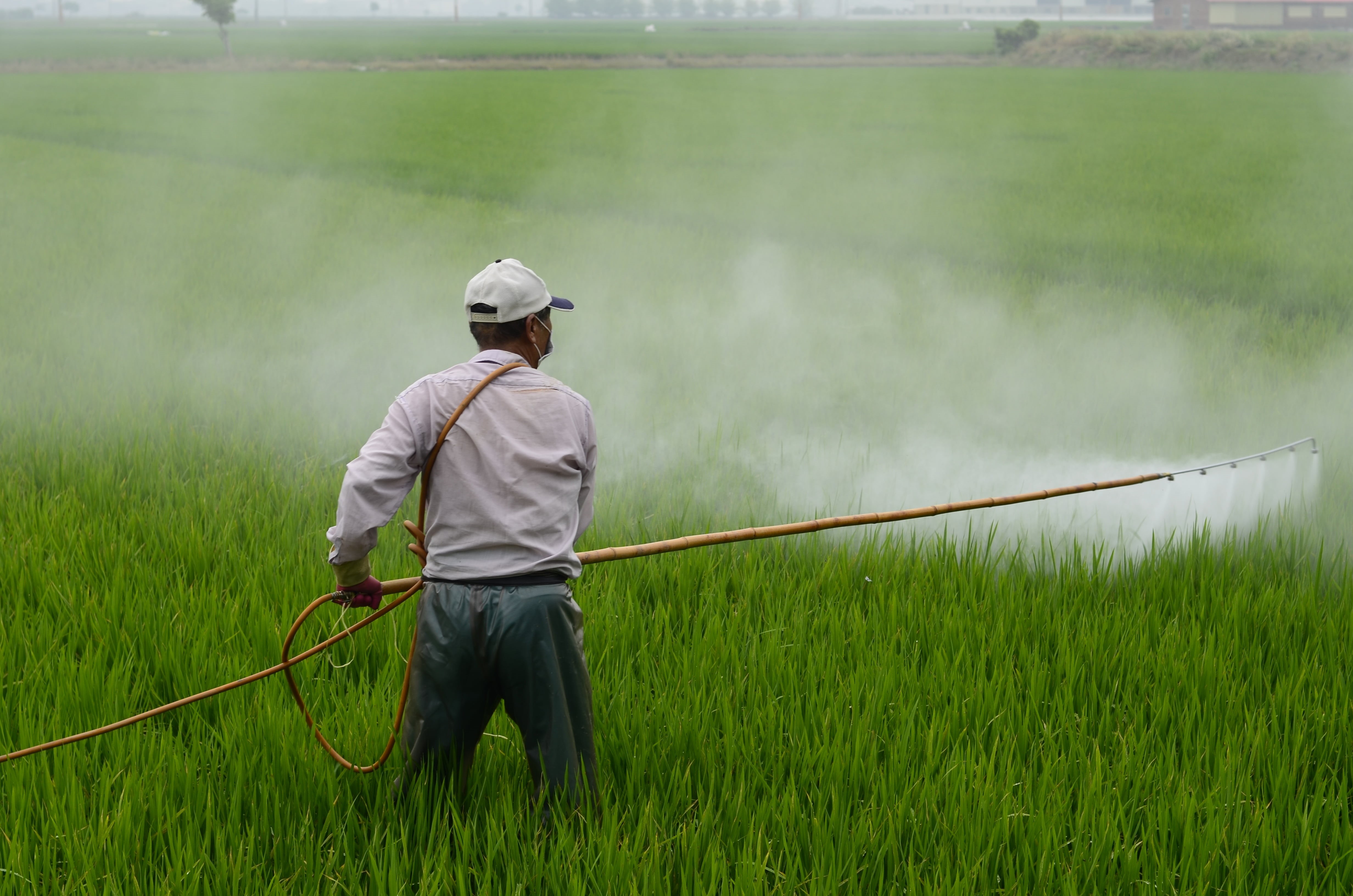 activity, herbicide, hiv, sprayer, wearing, water, 4K, adult, white, men, dress, yellow, day, rain, land, occupation, avignon, growth, man, rear view, HD Wallpaper