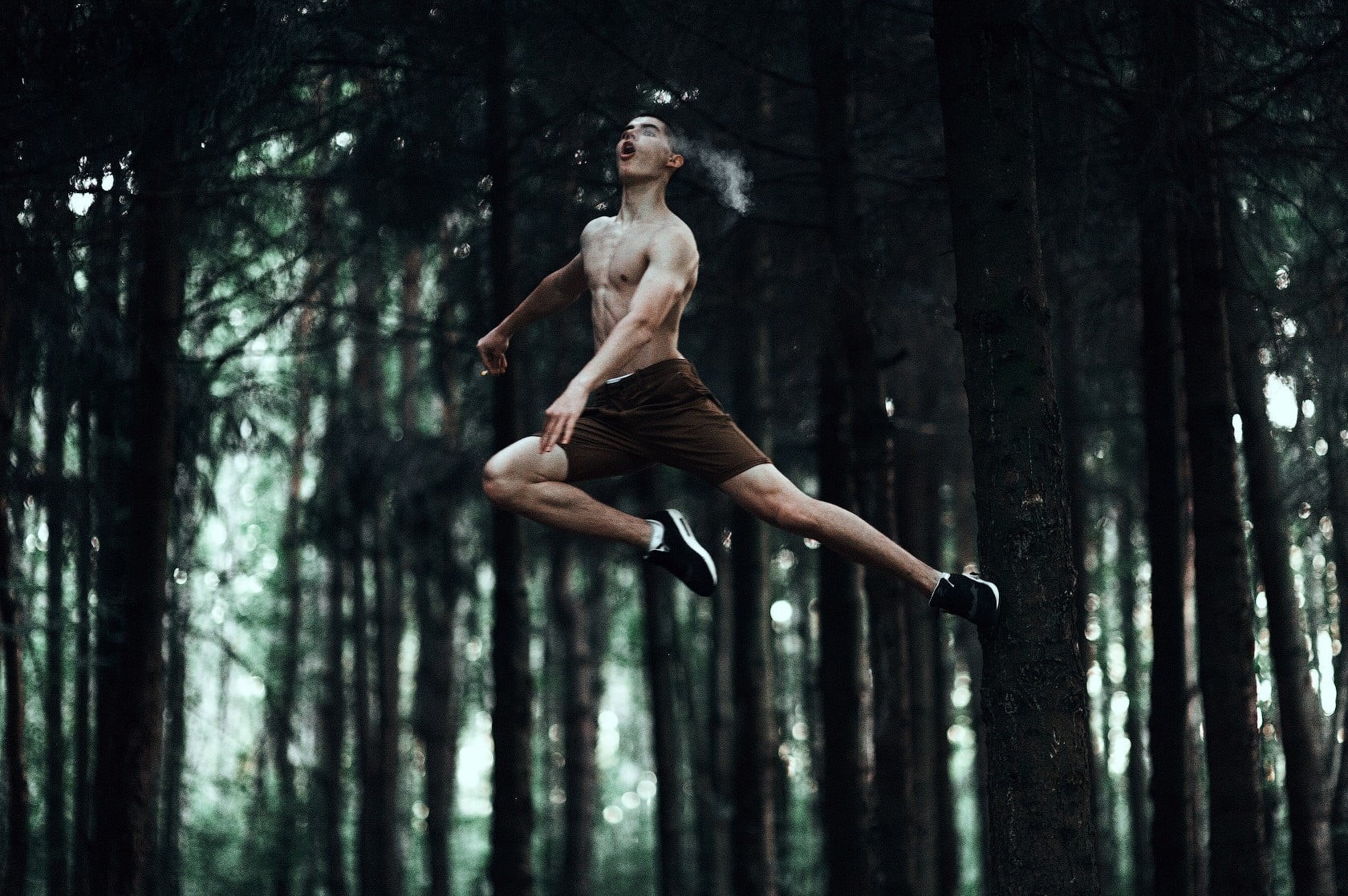 s, trees, men, day, men outdoors, Marat Safin, young adult, strength, lifestyles, forest, 720P, 500px, woodland, sport, crew, exercising, tree, full length, HD Wallpaper