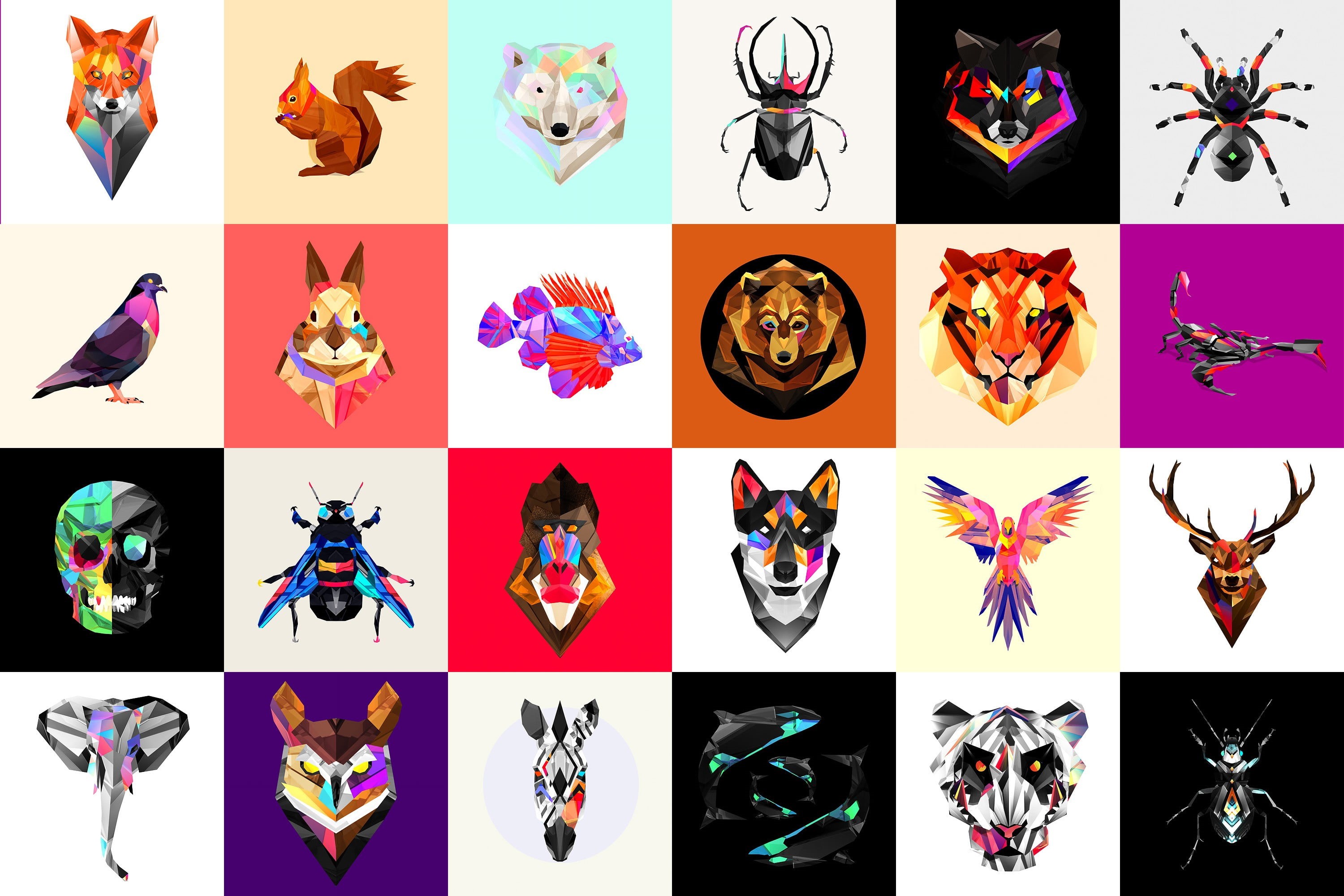 creativity, composite image, art and craft, human body part, multicolored, animals, mammal, collage, body part, Facets, representation, people, arms raised, HD Wallpaper