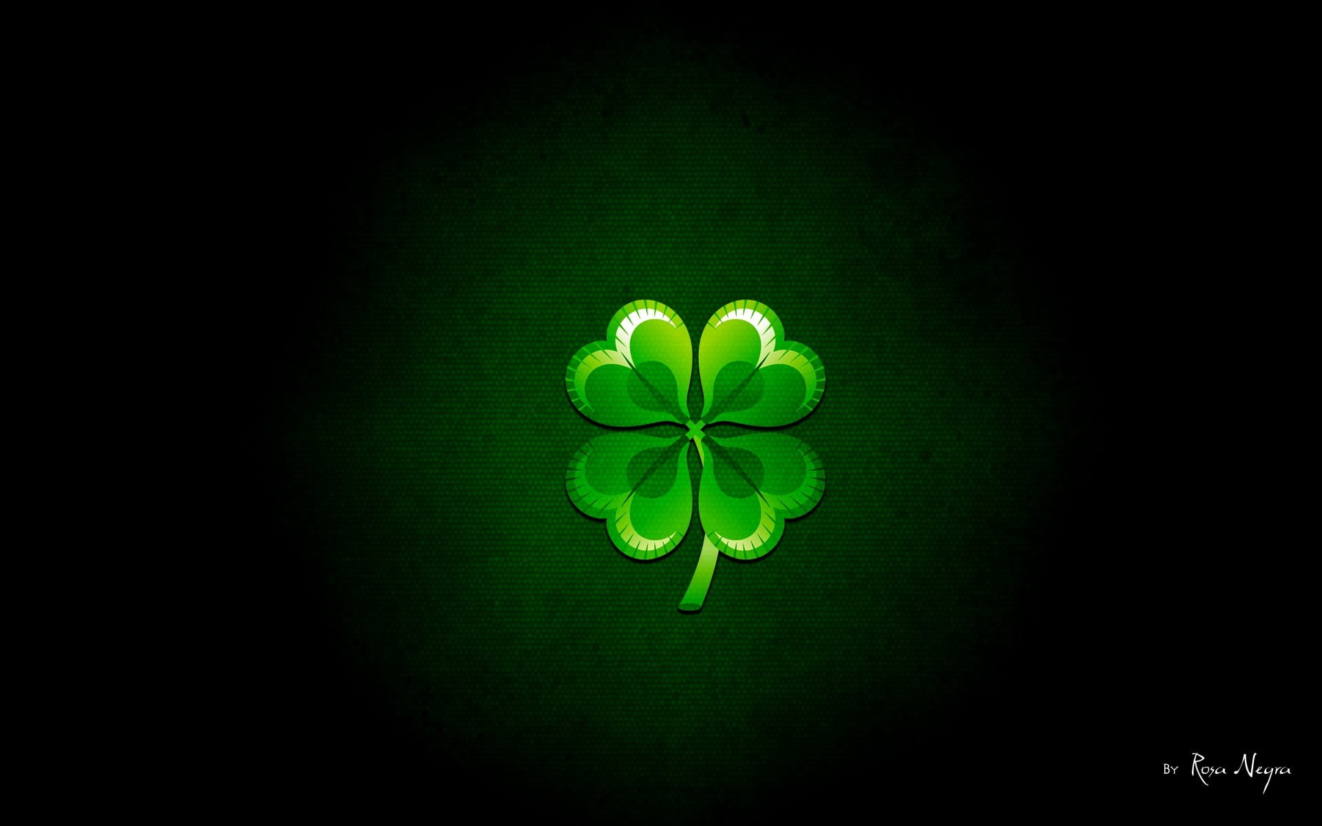 leaf, flower, creativity, clovers, beauty in nature, close-up, directly above, green color, studio shot, vulnerability, copy space, fragility, flowering plant, HD Wallpaper