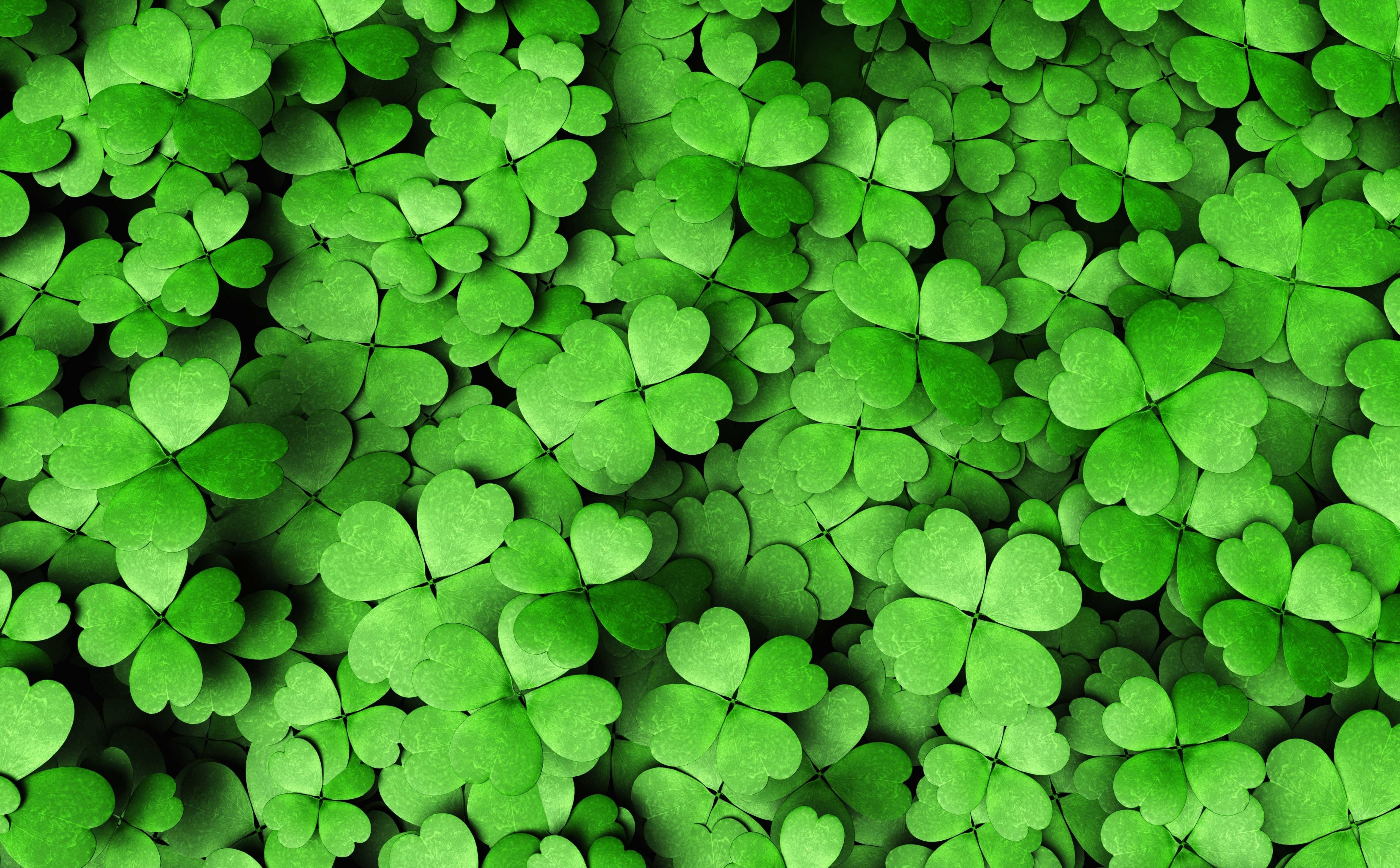 four, large group of objects, leaf, abundance, outdoors, close-up, beauty in nature, plant, Patrick, no people, Green, Lucky, green color, Holidays, freshness, HD Wallpaper
