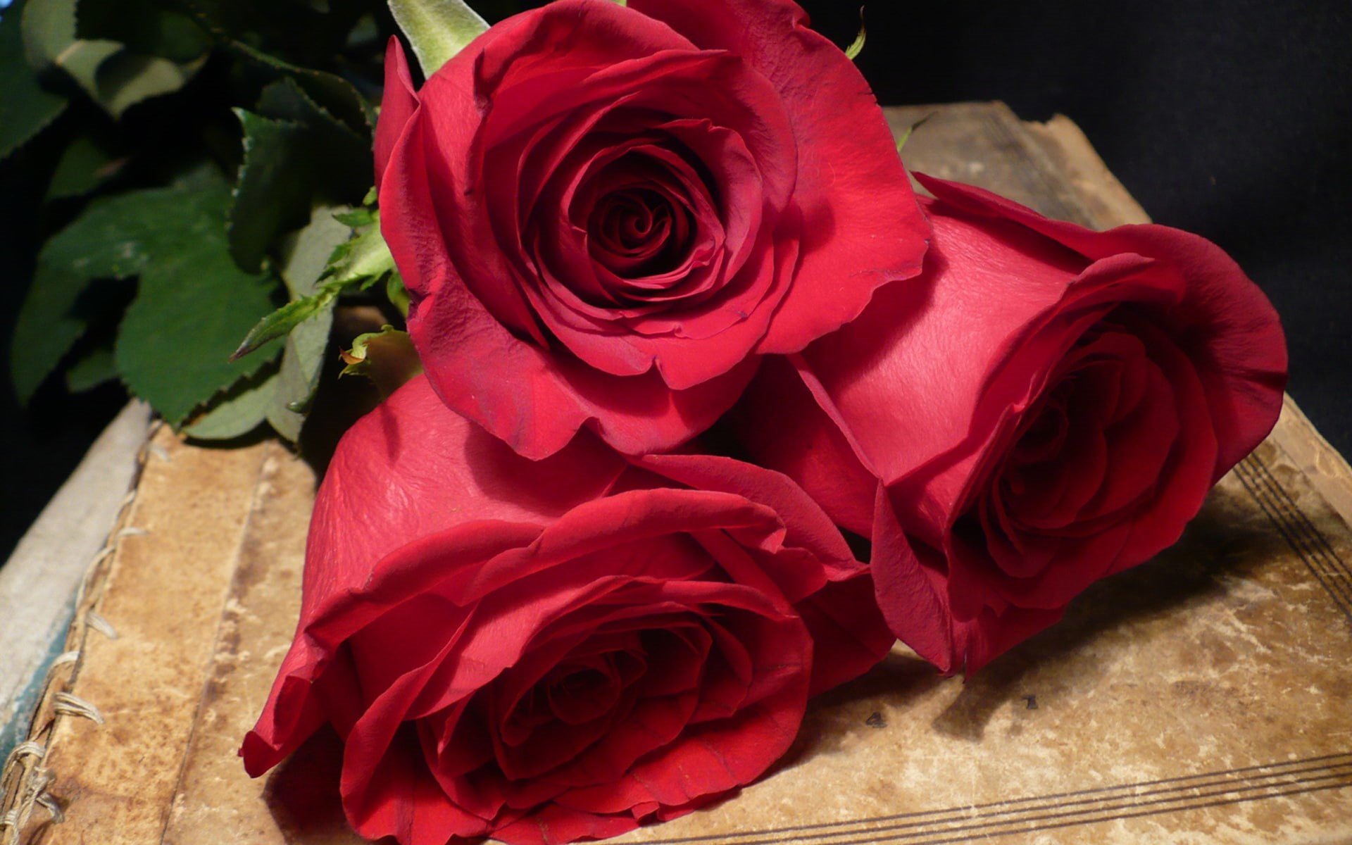image, rose, 1080P, valentine, day, romantic, s, HD Wallpaper