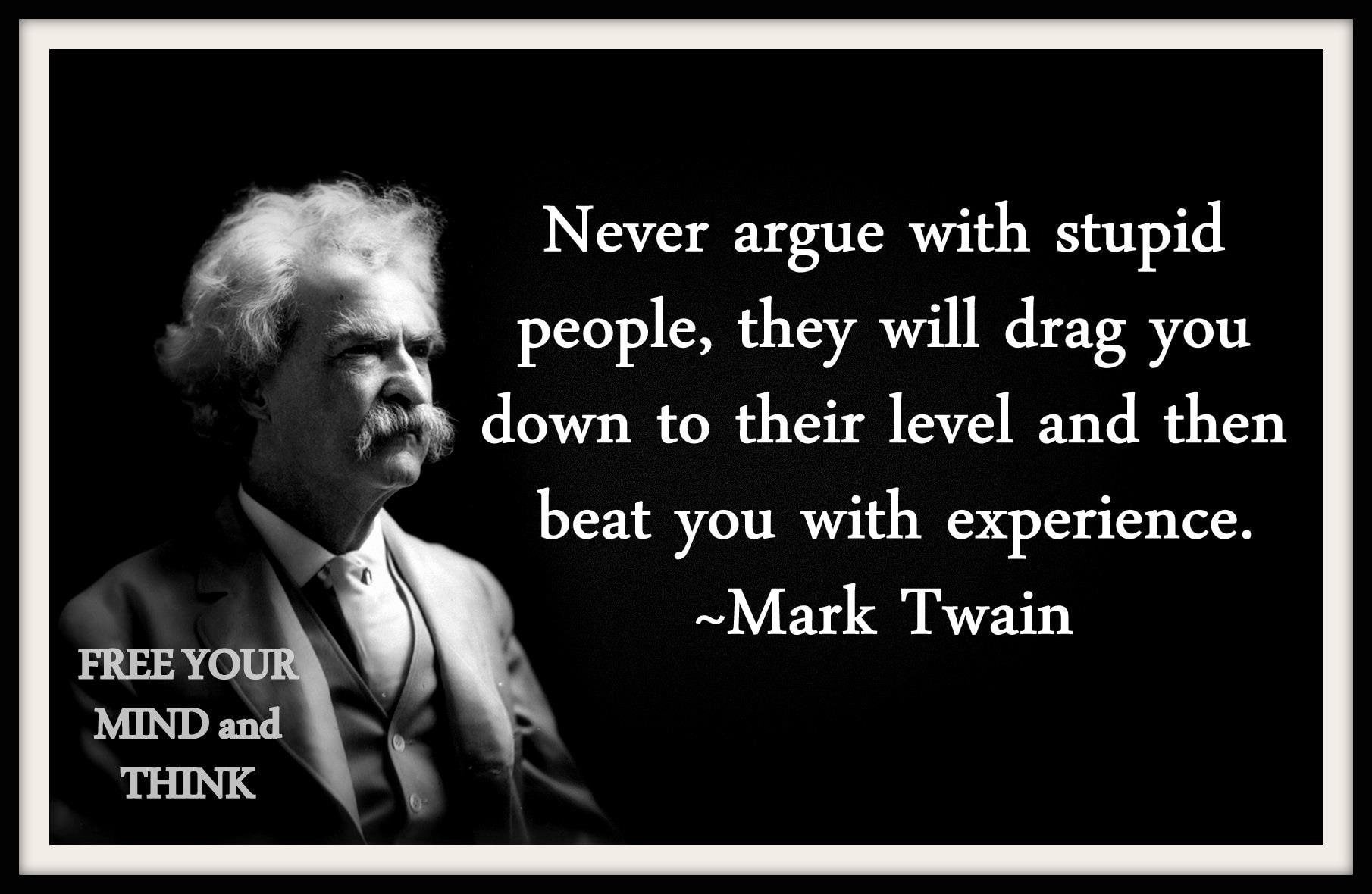Misc, mark, 720P, statement, Quote, twain, HD Wallpaper