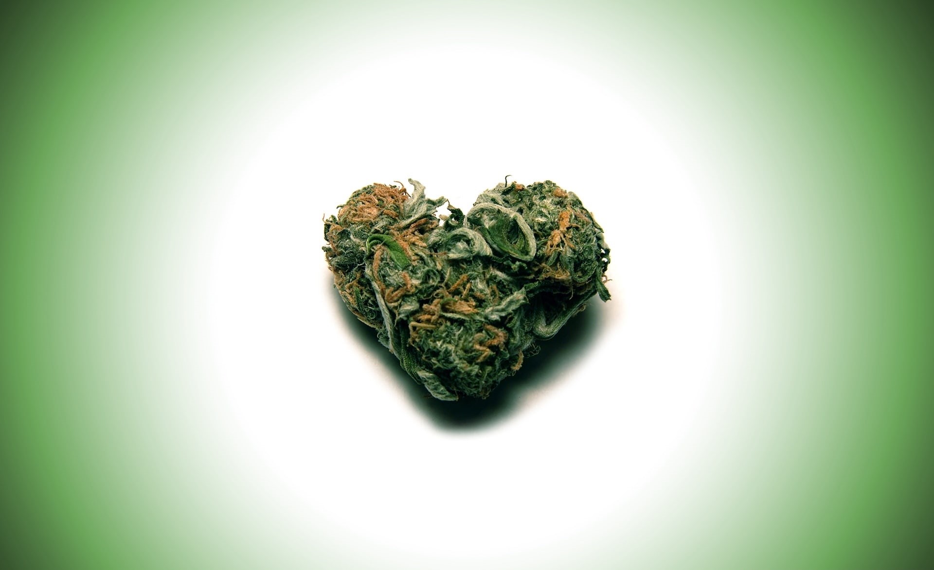 herbal medicine, white background, Love, healthcare and medicine, close-up, no people, studio shot, marijuana - herbal cannabis, Green, medicine, beauty in nature, HD Wallpaper
