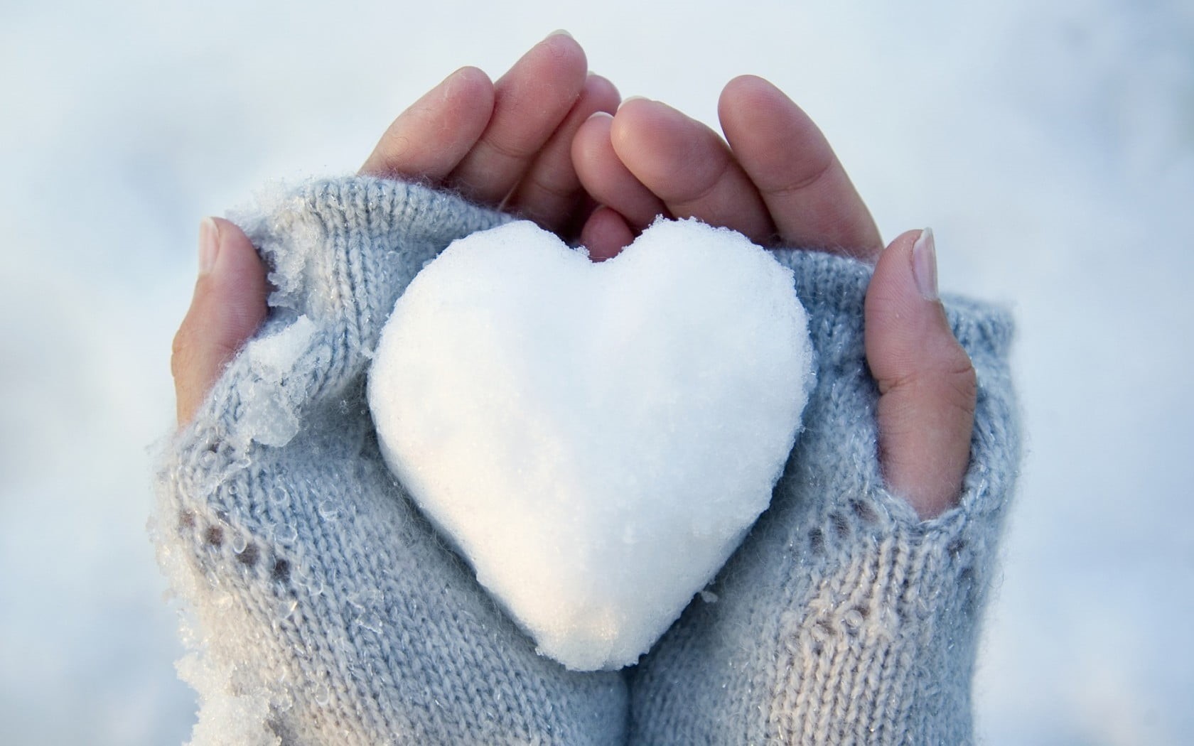 hand, winter, real people, hands cupped, one person, finger, white, warm clothing, snowball, covering, clothing, focus on foreground, holding, snow, cold temperature, HD Wallpaper