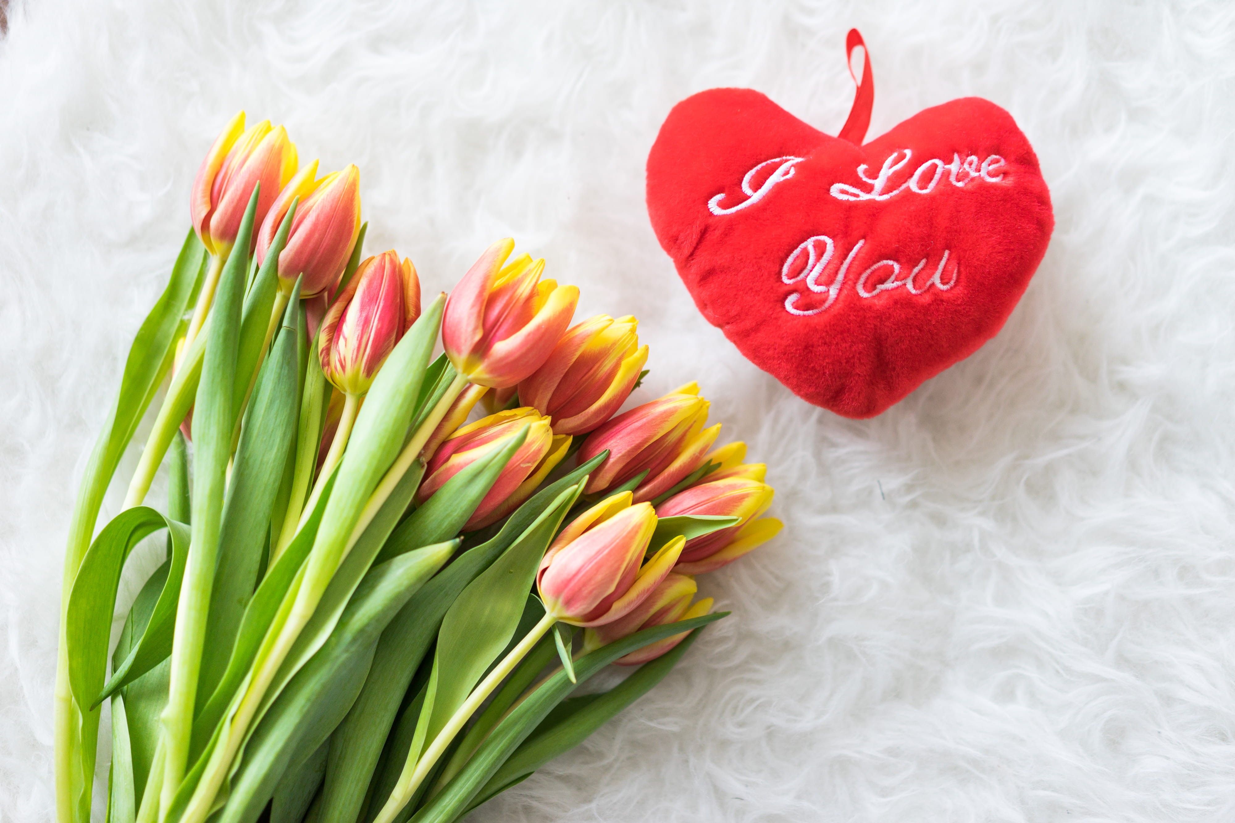 wedding, plant, valentines Day - Holiday, flowers, top, communication, western script, food, holiday, Plush, Heart, freshness, sweet food, saint valentine, HD Wallpaper