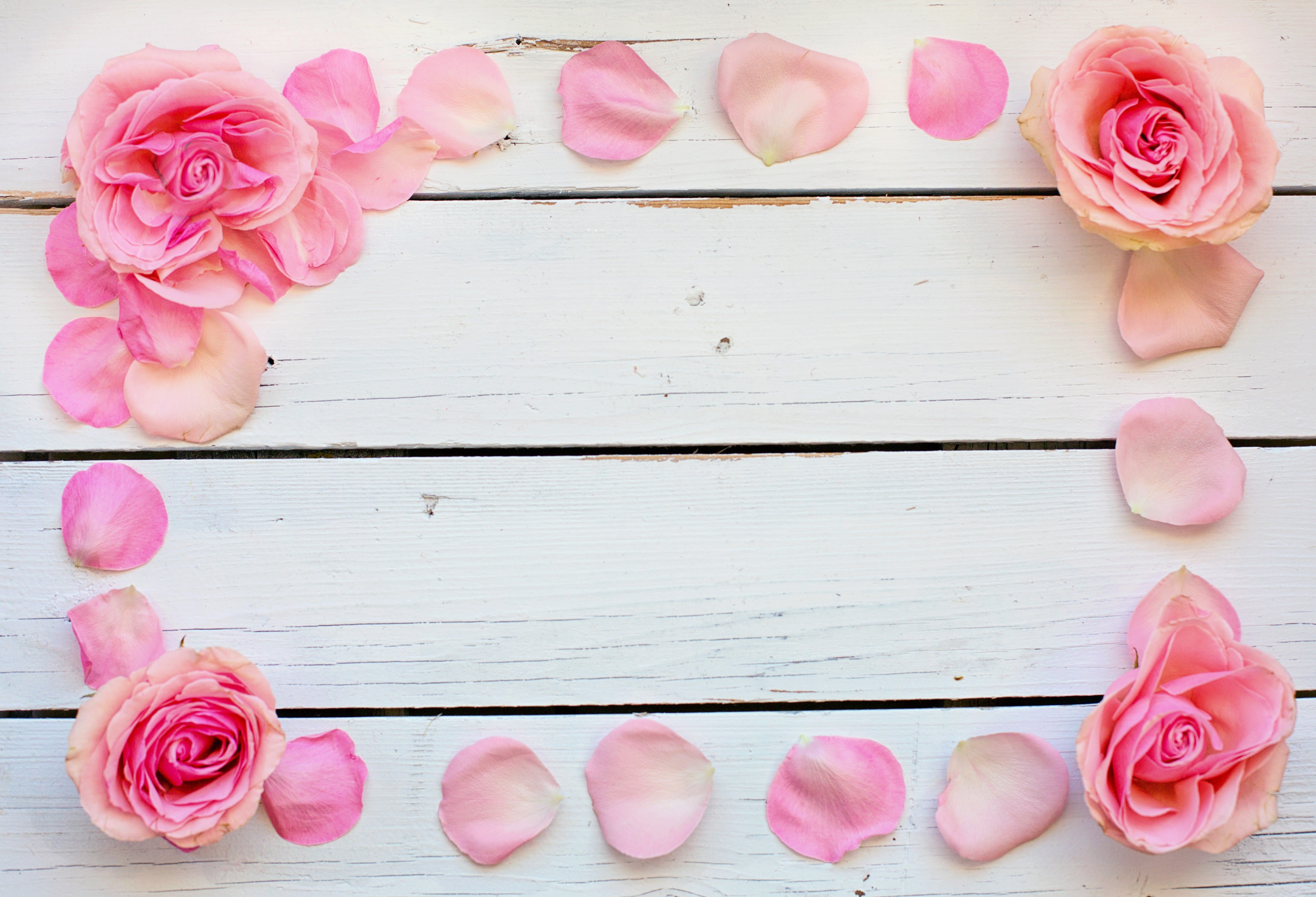 rose, beauty in nature, romantic, birthday, nature, inflorescence, flowering plant, vulnerability, table, wedding, background, wood - material, rose - flower, HD Wallpaper