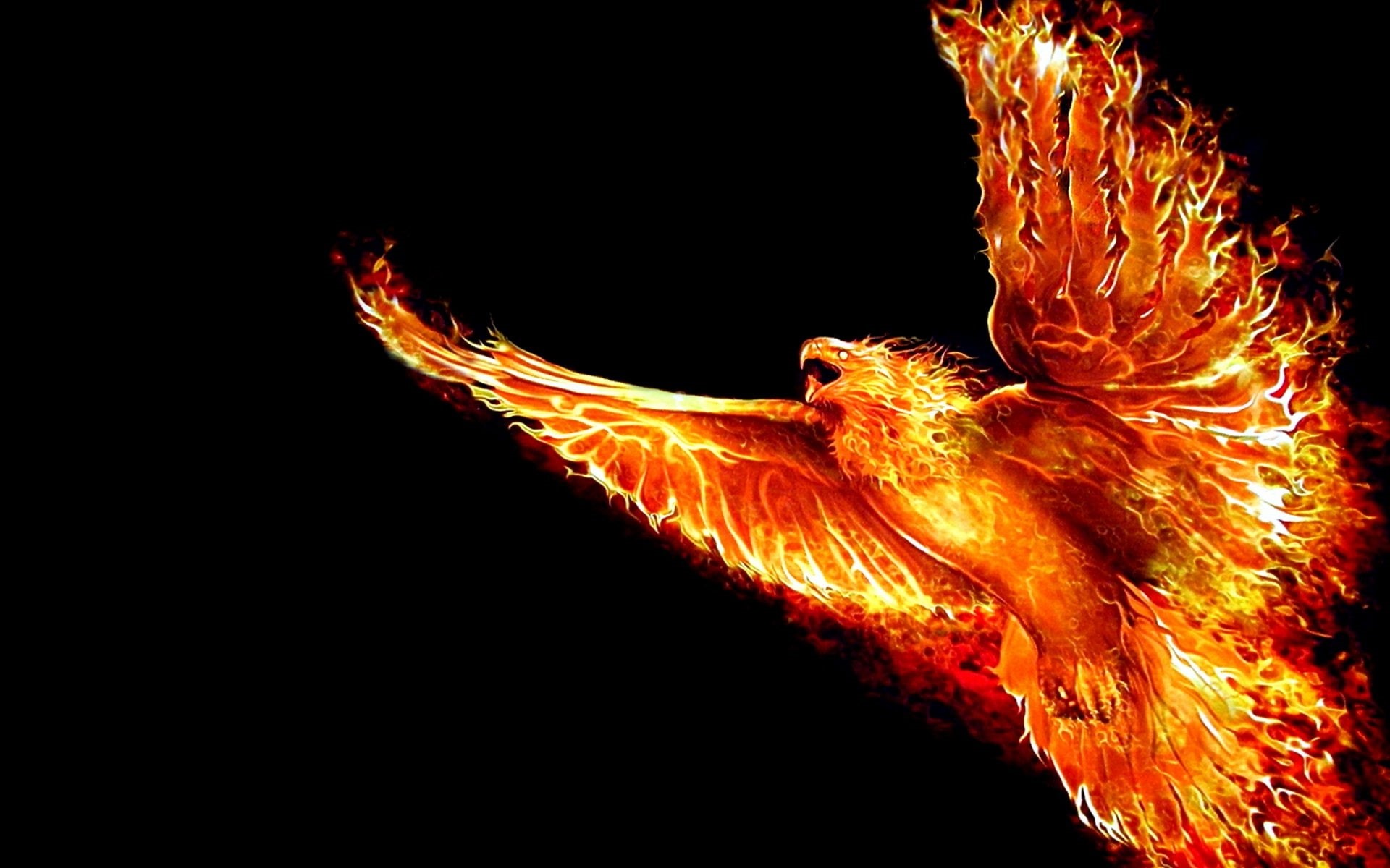 orange color, animal wildlife, close-up, Flight, outdoors, fire, one animal, copy space, flame, 1080P, fenix, glowing, phoenix, firebird, no people, heat - temperature, HD Wallpaper