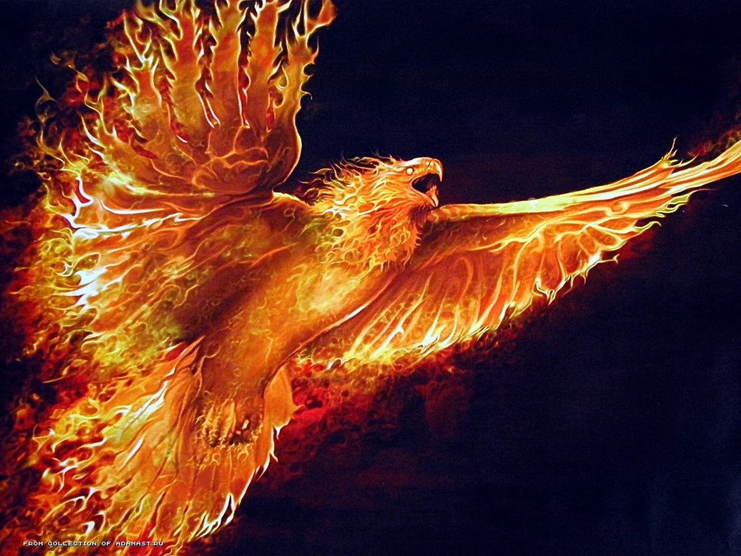 phoenix, fire, 2K, birds, HD Wallpaper