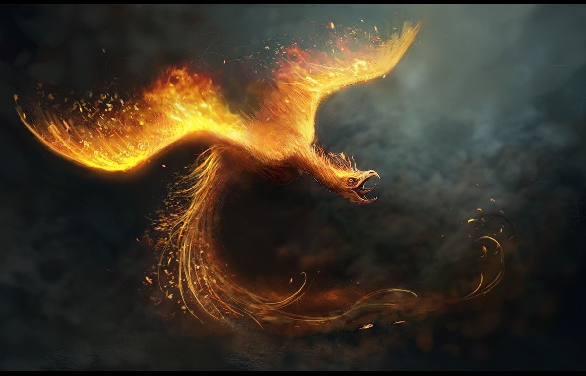 digital art, fire, birds, phoenix, 480P, HD Wallpaper